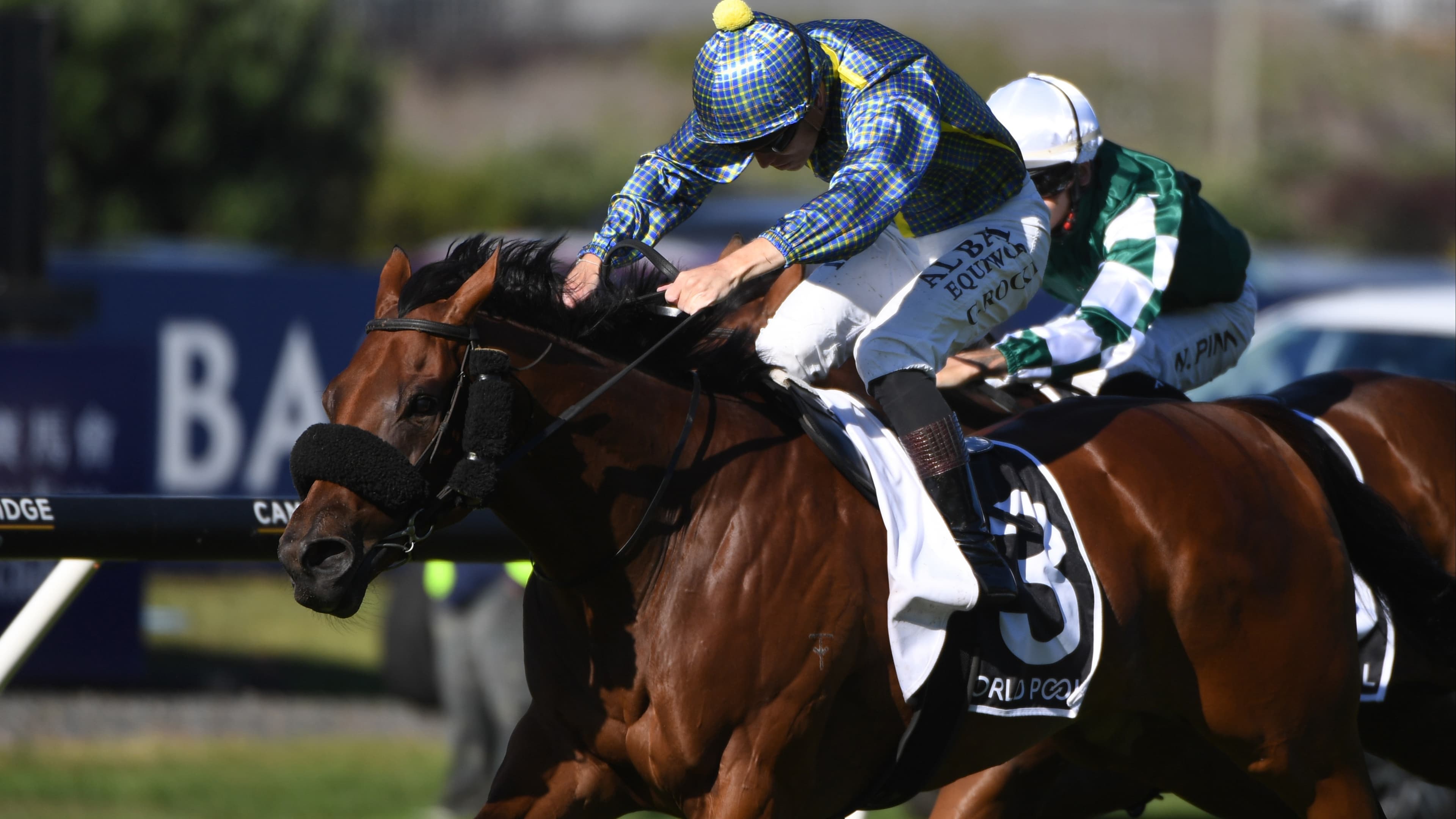 Windsor Park’s Circus Maximus takes centre stage