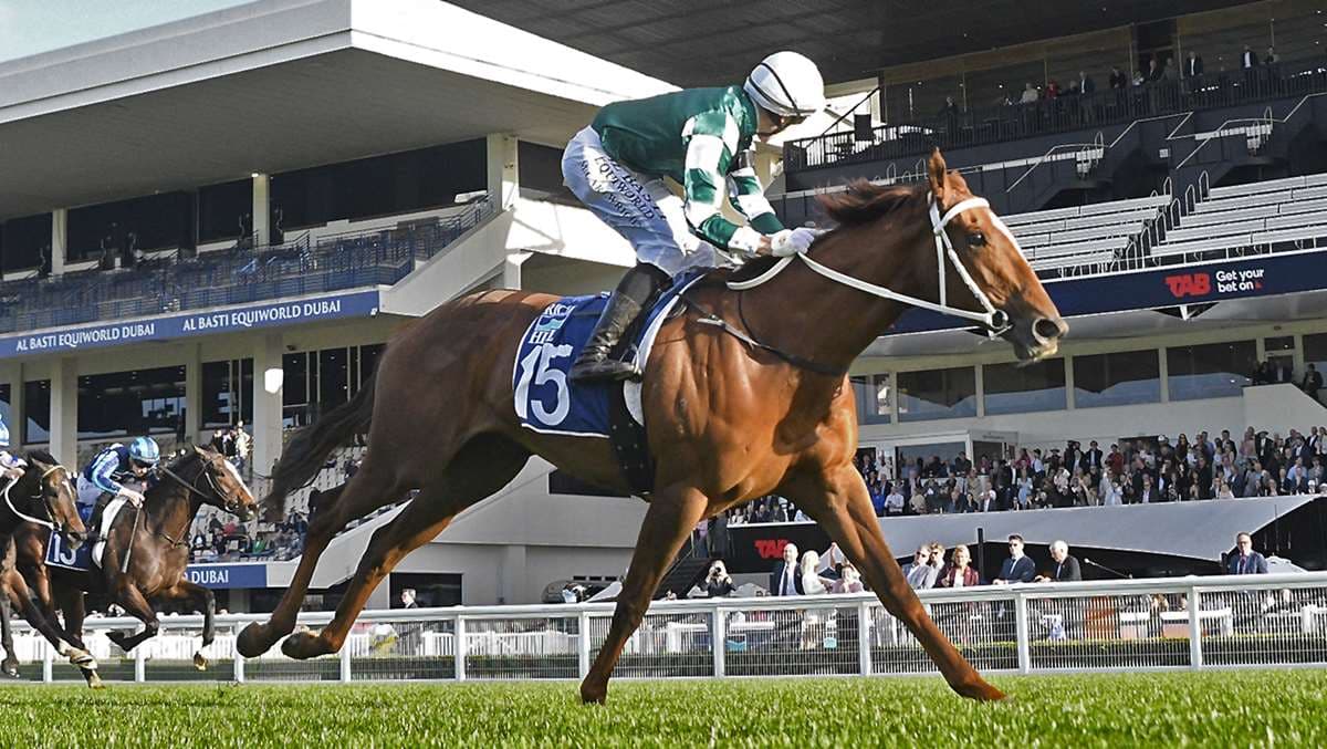 Unbeaten Well Written Crowned New Zealand Horse of the Year