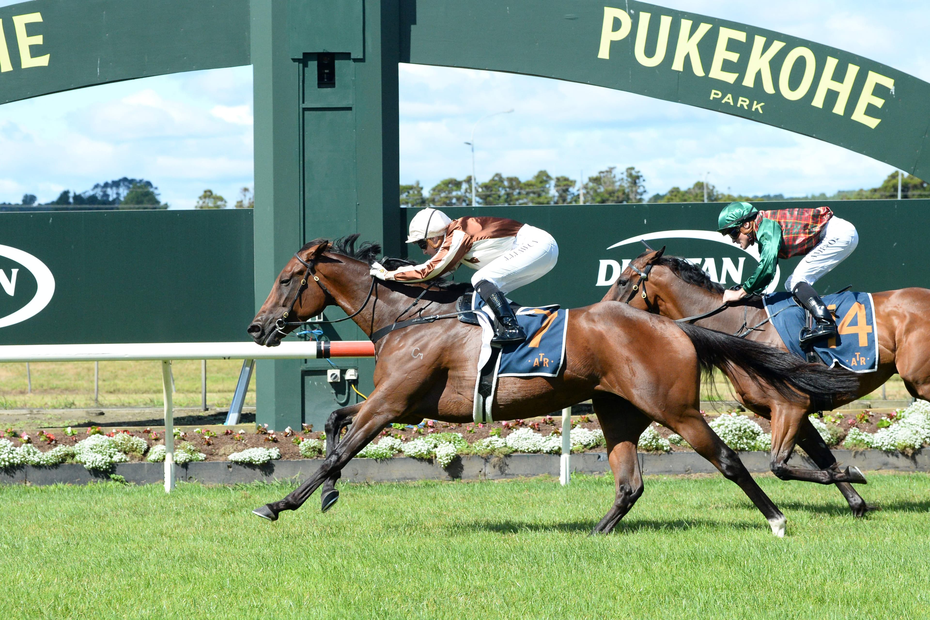 Fawcett on her way to full recovery from injury