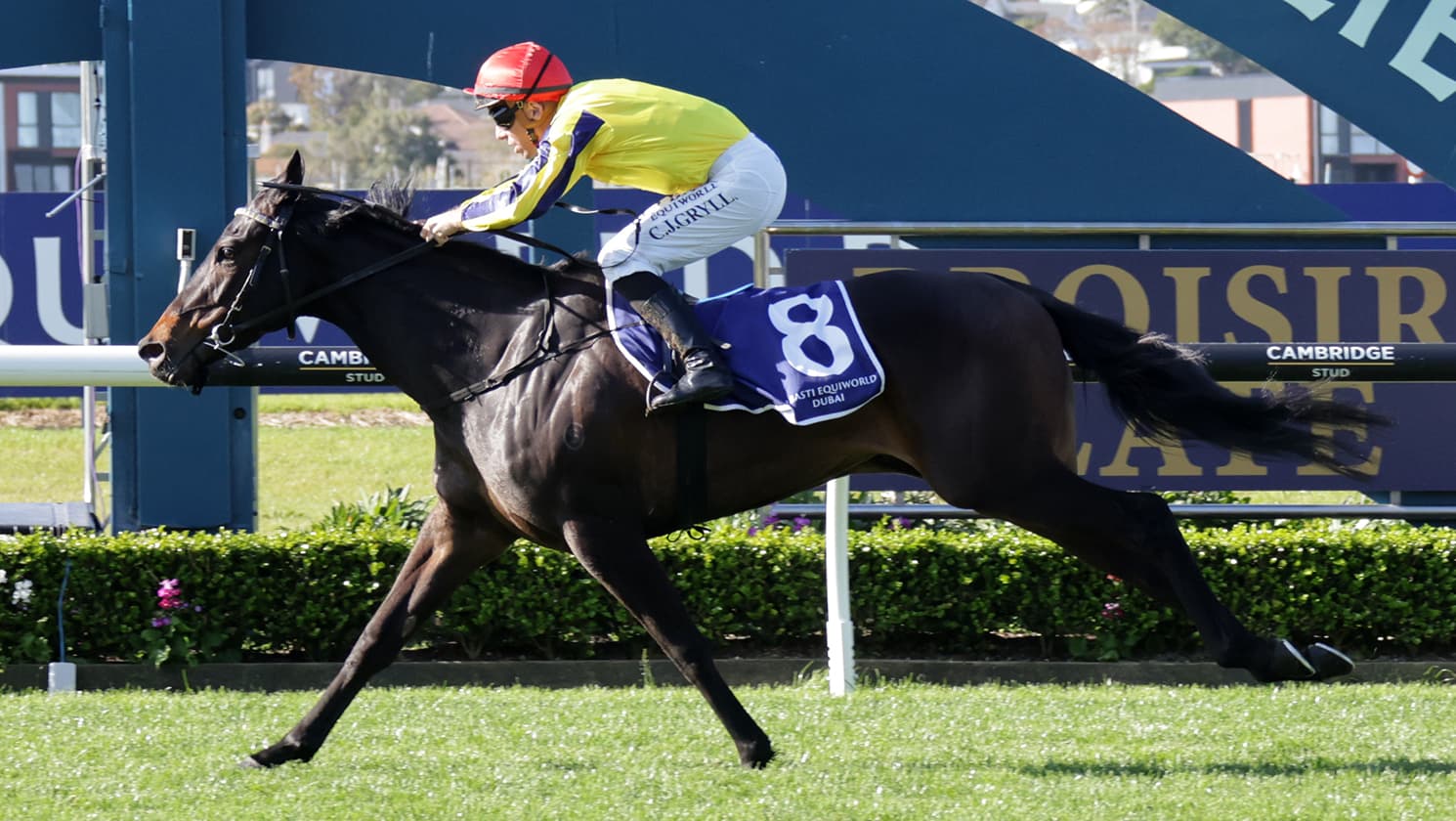 Wexford filly pounces to victory in Sunline Vase