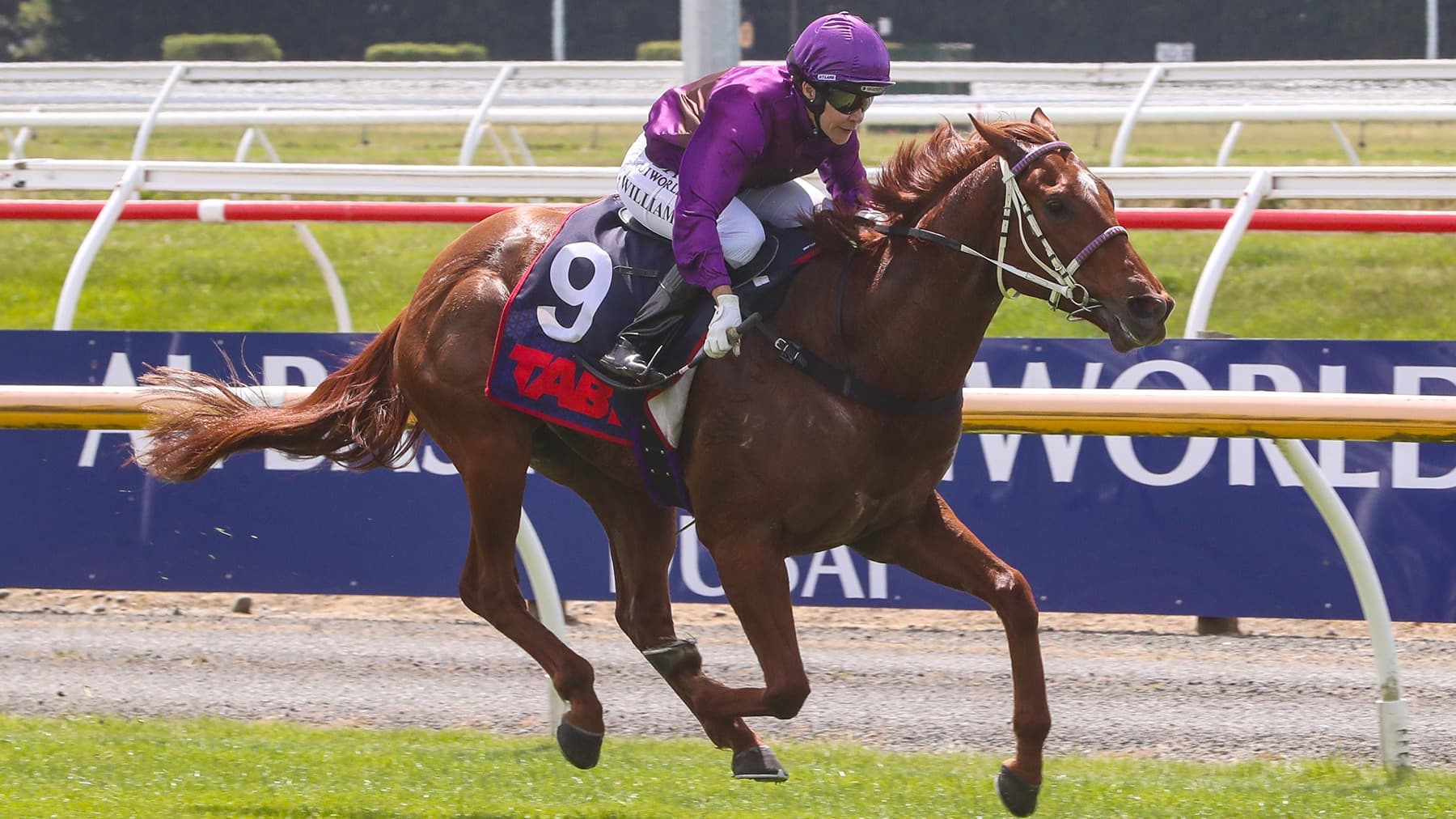 Latta flying the Kiwi flag at Randwick
