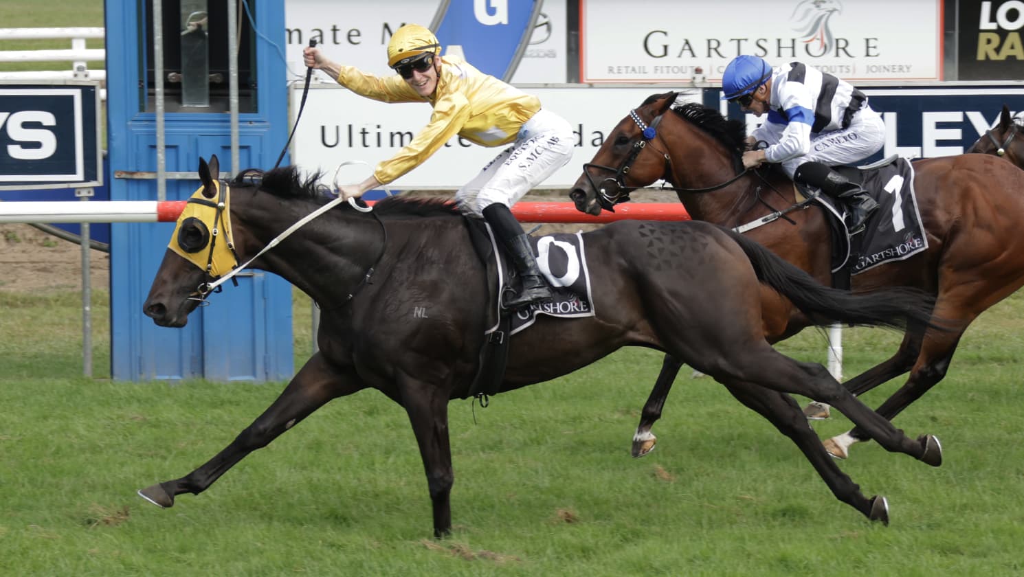 Omega Boy takes out Tauranga feature