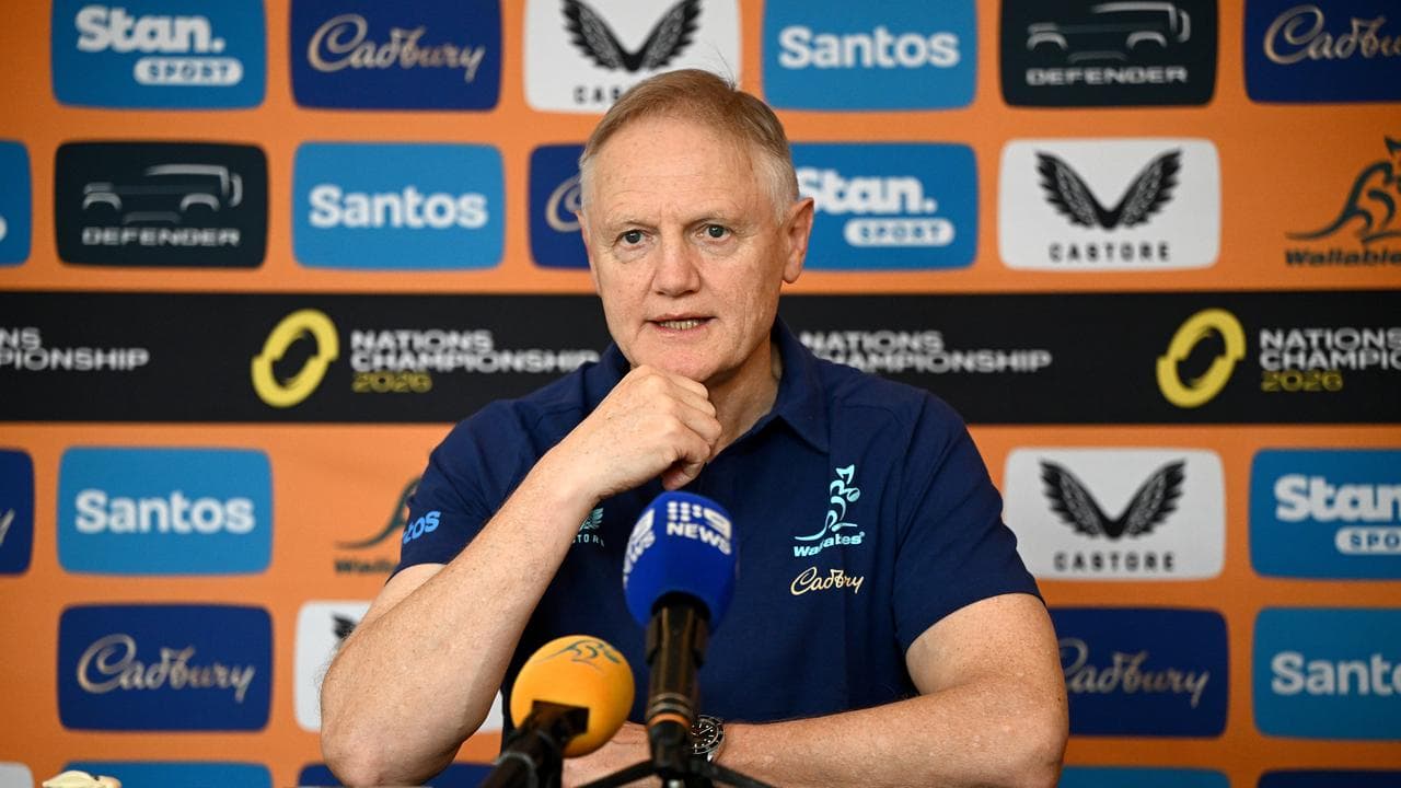 'No ambition': Schmidt rules out another national job