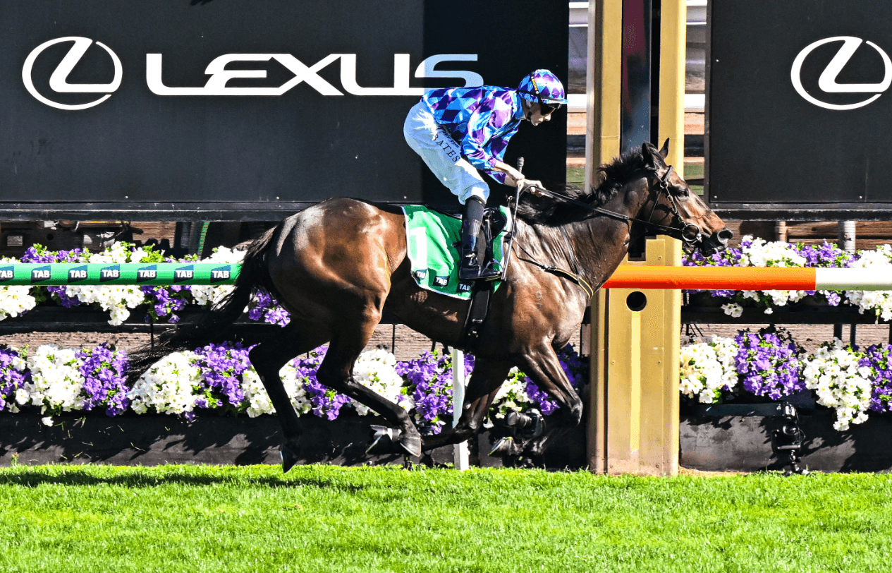 The leading contenders for the 2026 All-Star Mile