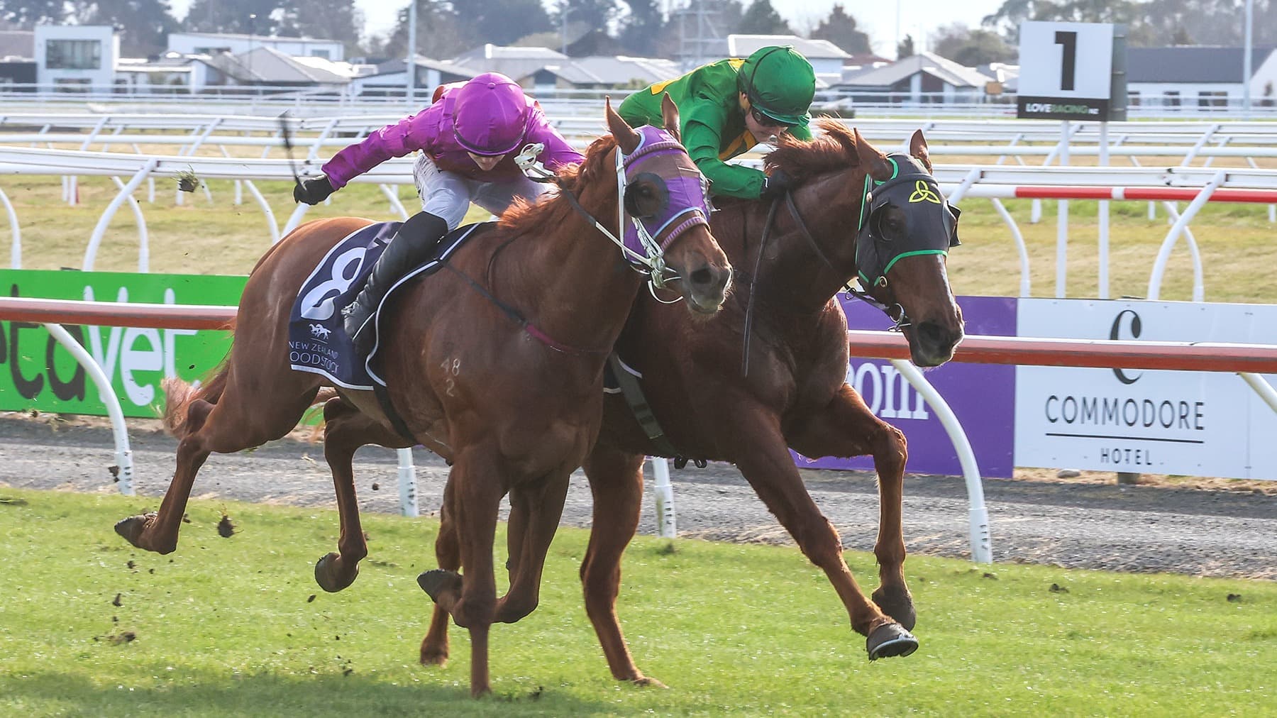 Shawshank gets redemption at Riccarton