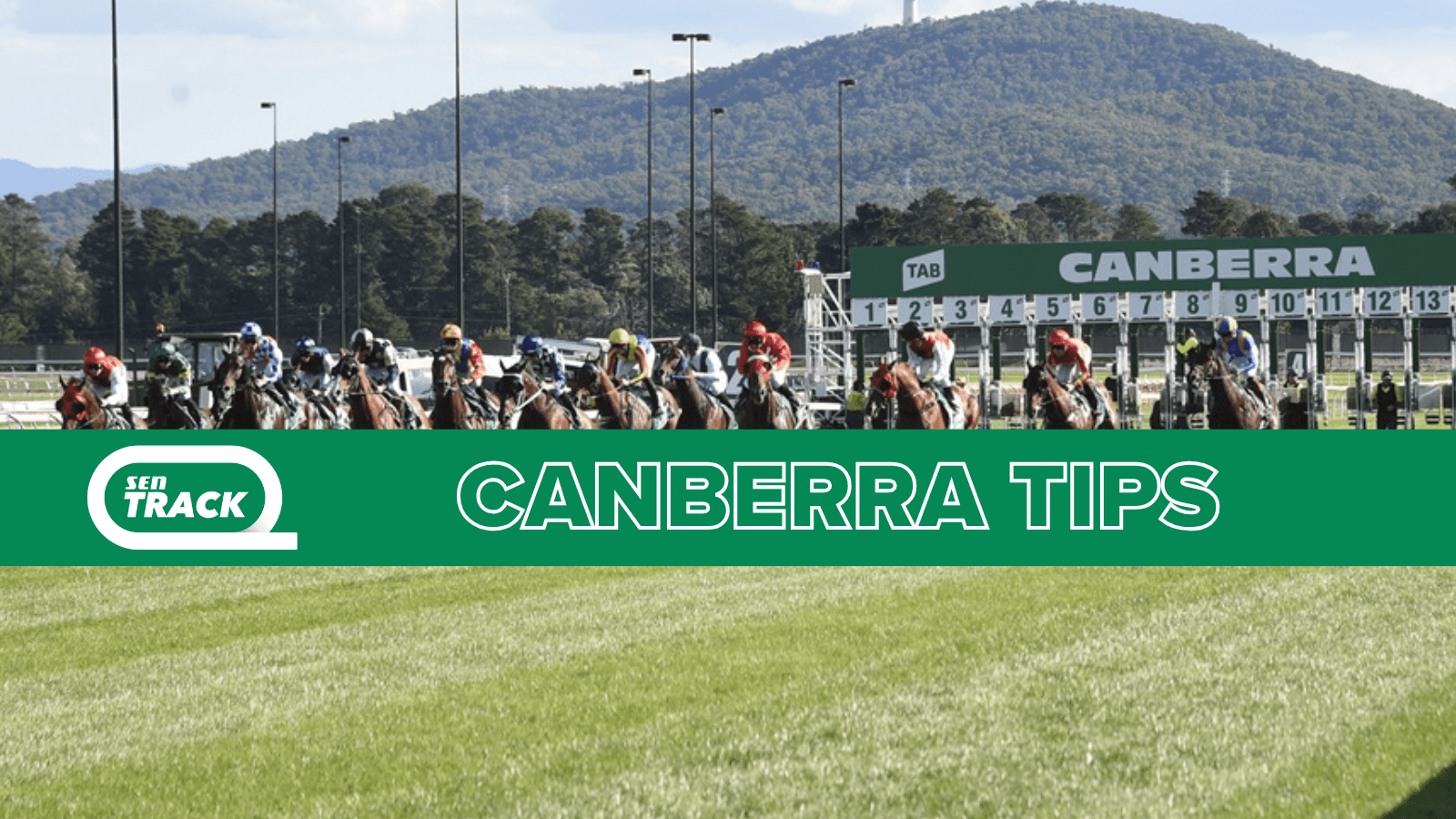 Tuesday best bets at Canberra (04/11)