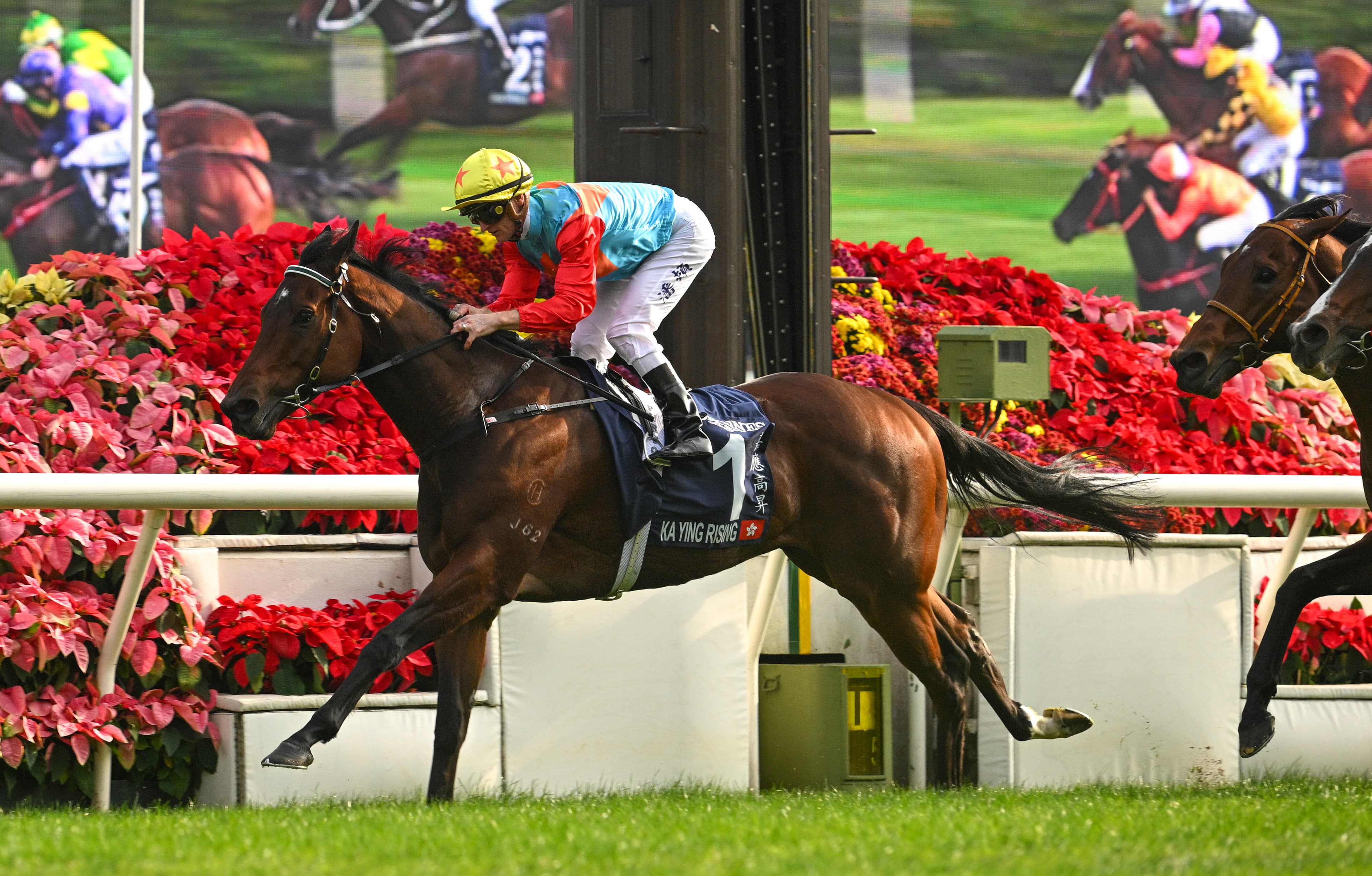 "Never been better": Why Ka Ying Rising is only now hitting career-best form