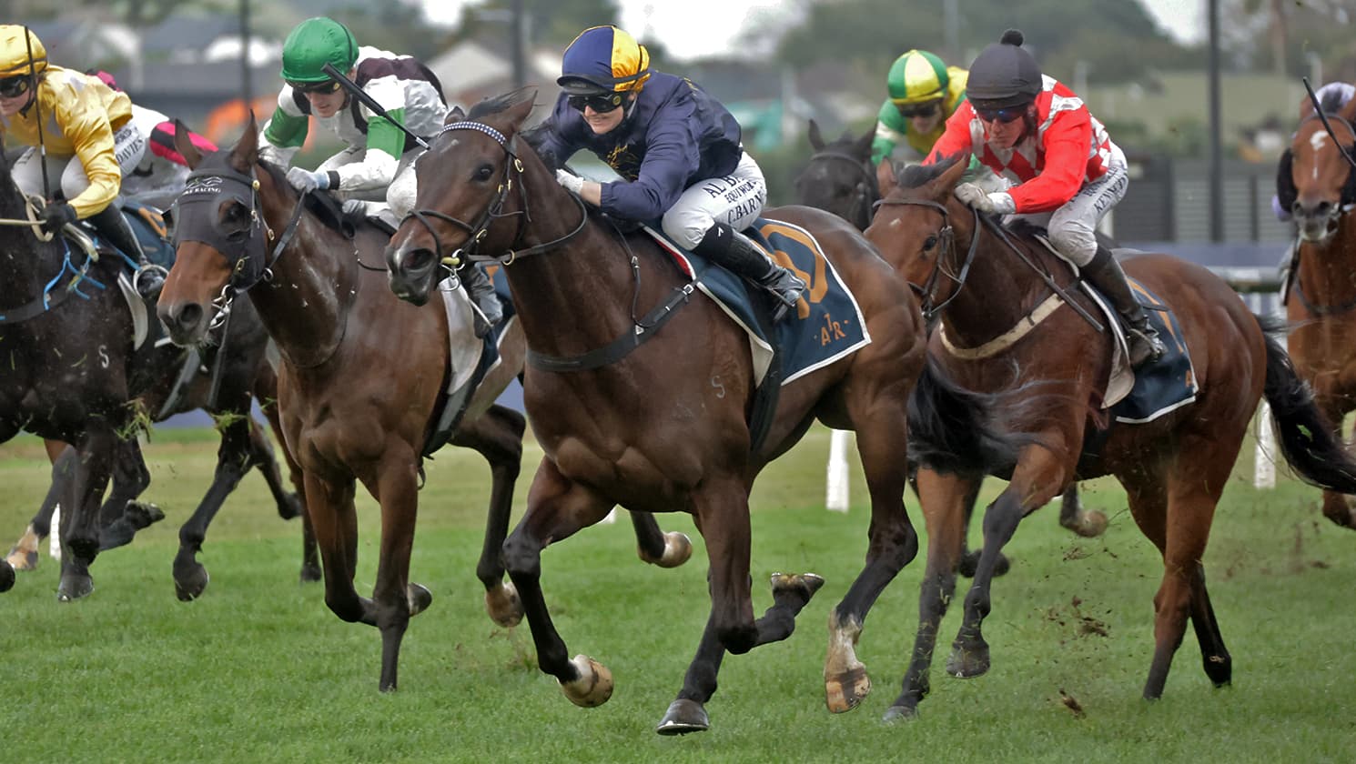 Promising filly heads to winter break a winner