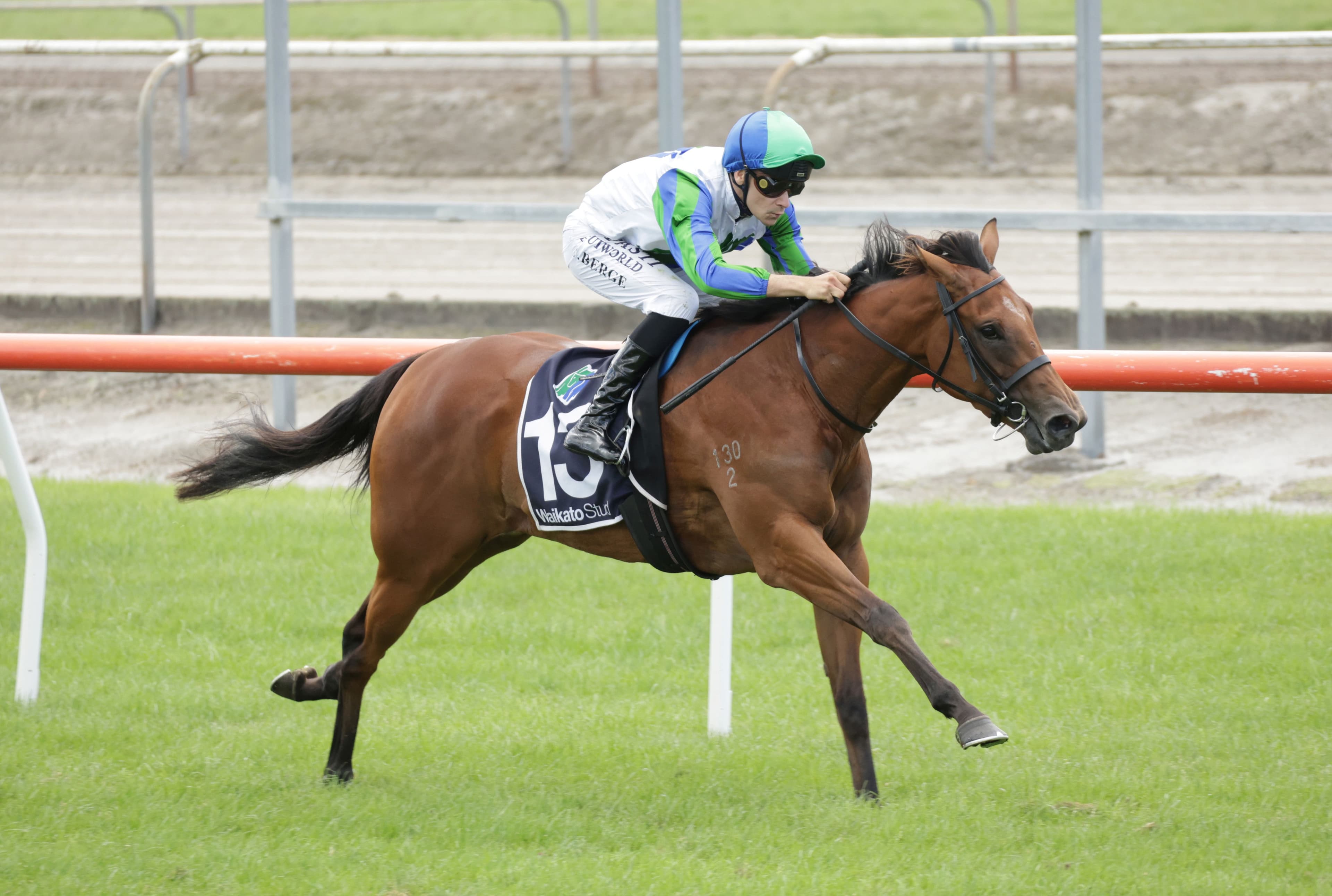 King Convinced of mare’s ability