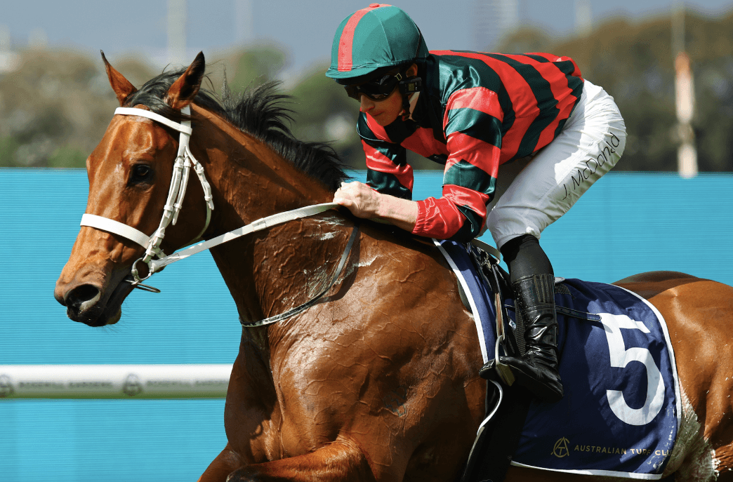 The Sydney Set's Queen Of The Turf tips and preview