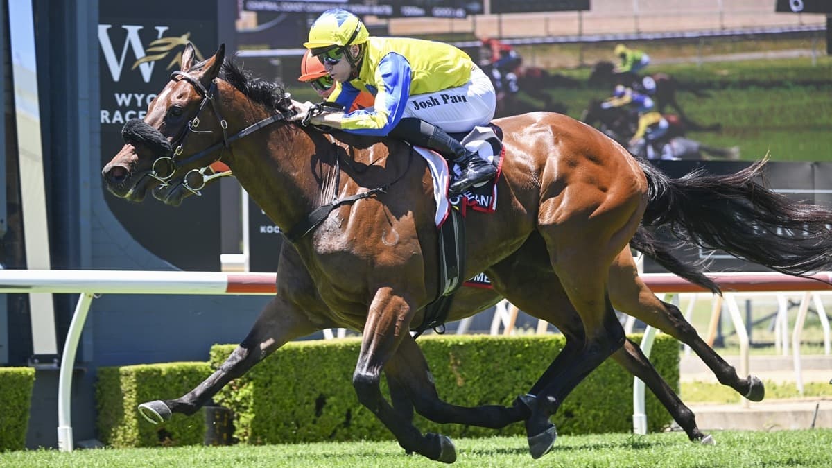 Wyong a perfect fit for No Drama