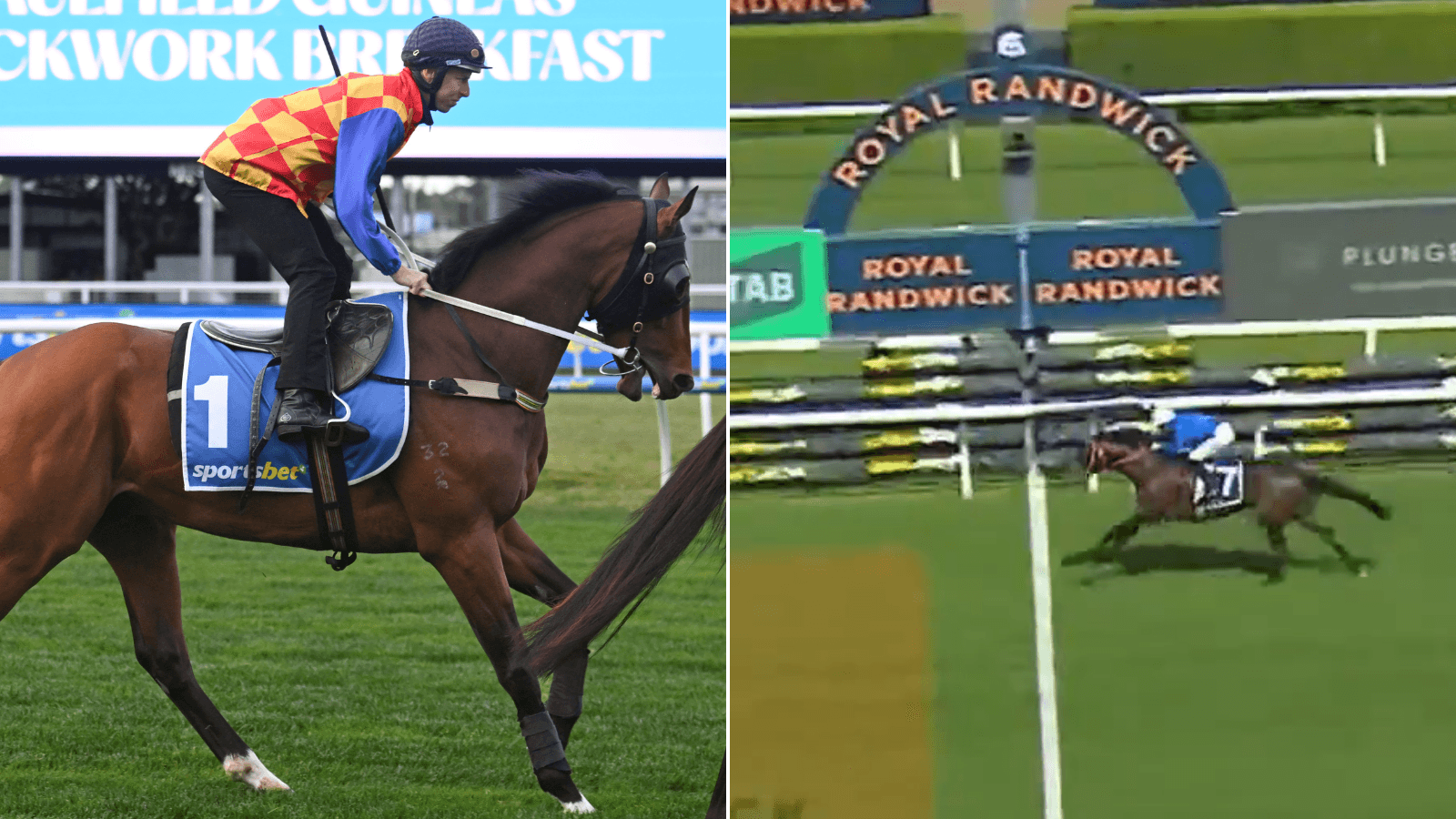 Attica or Autumn Boy - Which horse is better?