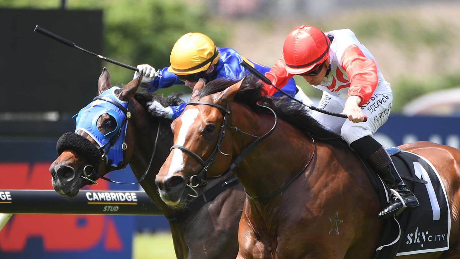 Affirmative Action Guineas bound following Ellerslie triumph