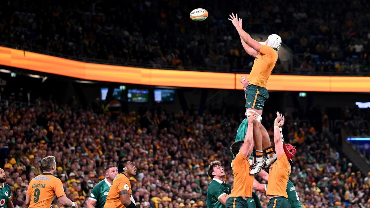 Wallabies suffer injury blow ahead of Springboks battle