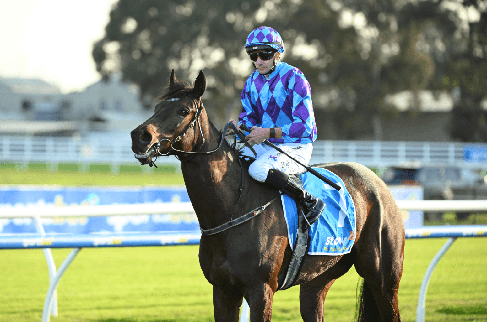 Top jockey suffers serious injuries after fall