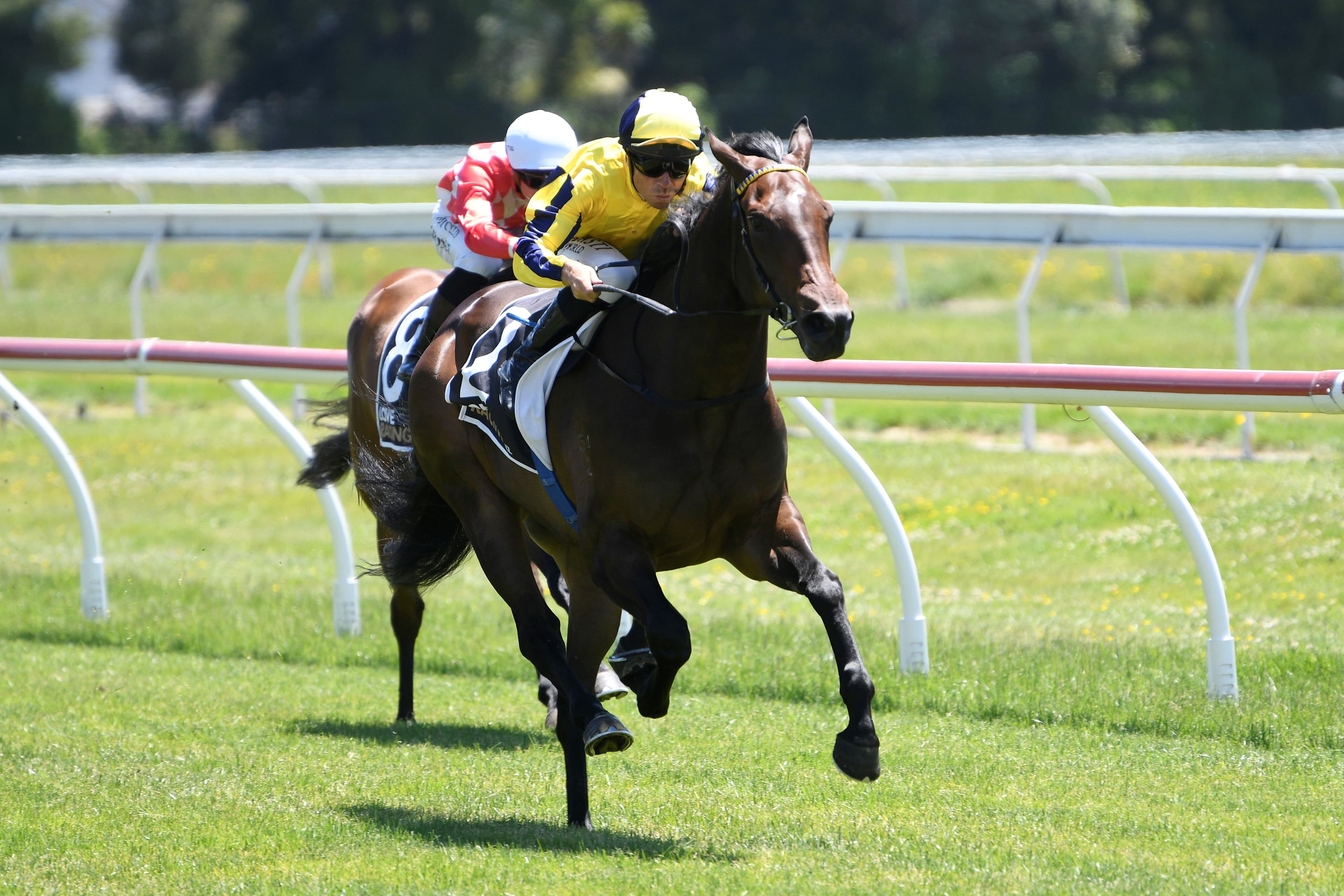 Haunui proudly flying Kiwi flag