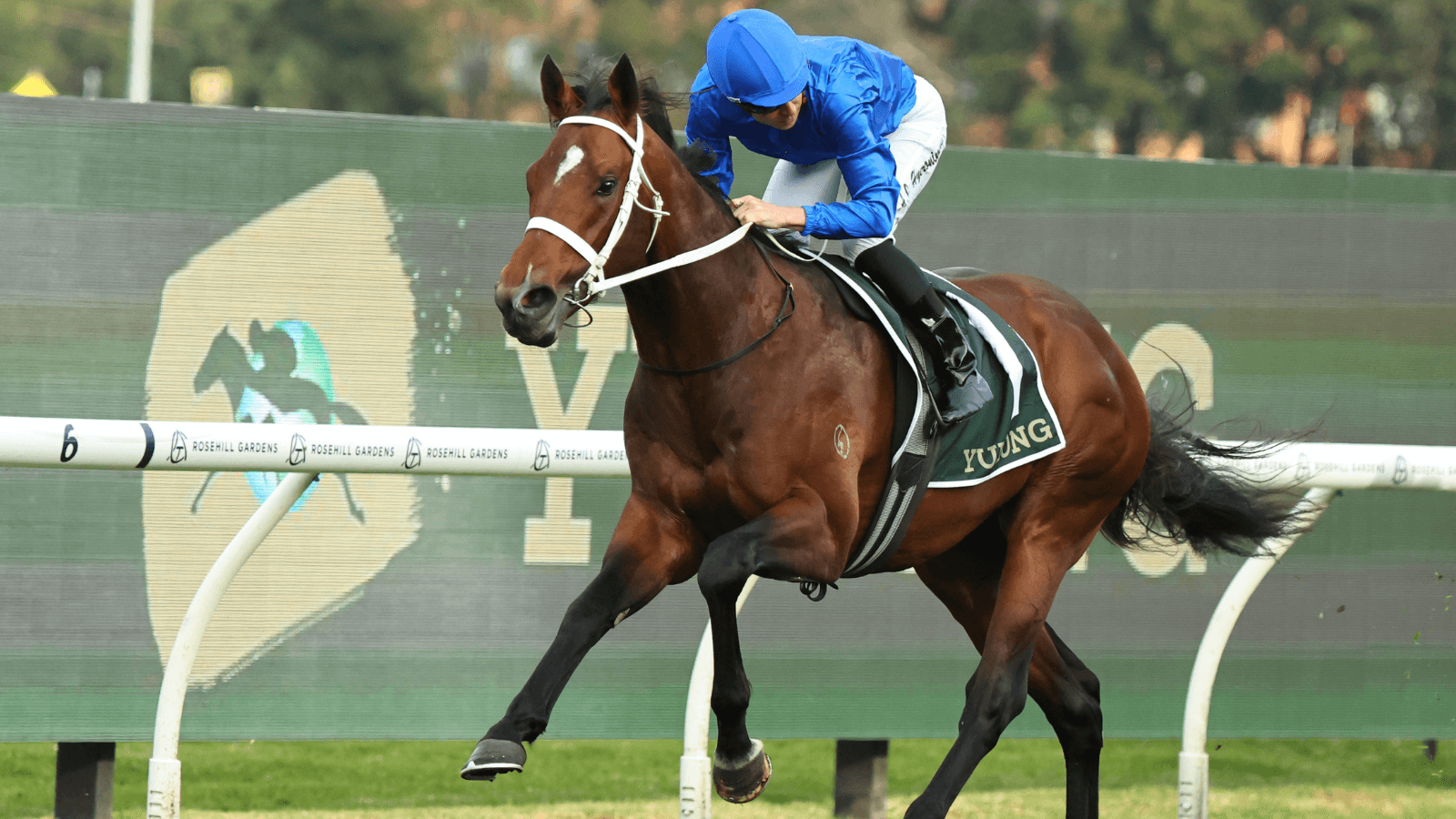 Winners & losers from Coolmore, Derby and Empire Rose barrier draws