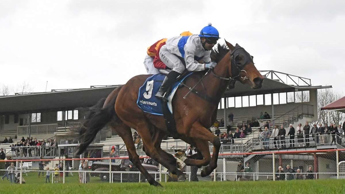 Cambridge partnership hunting Jericho Cup berth