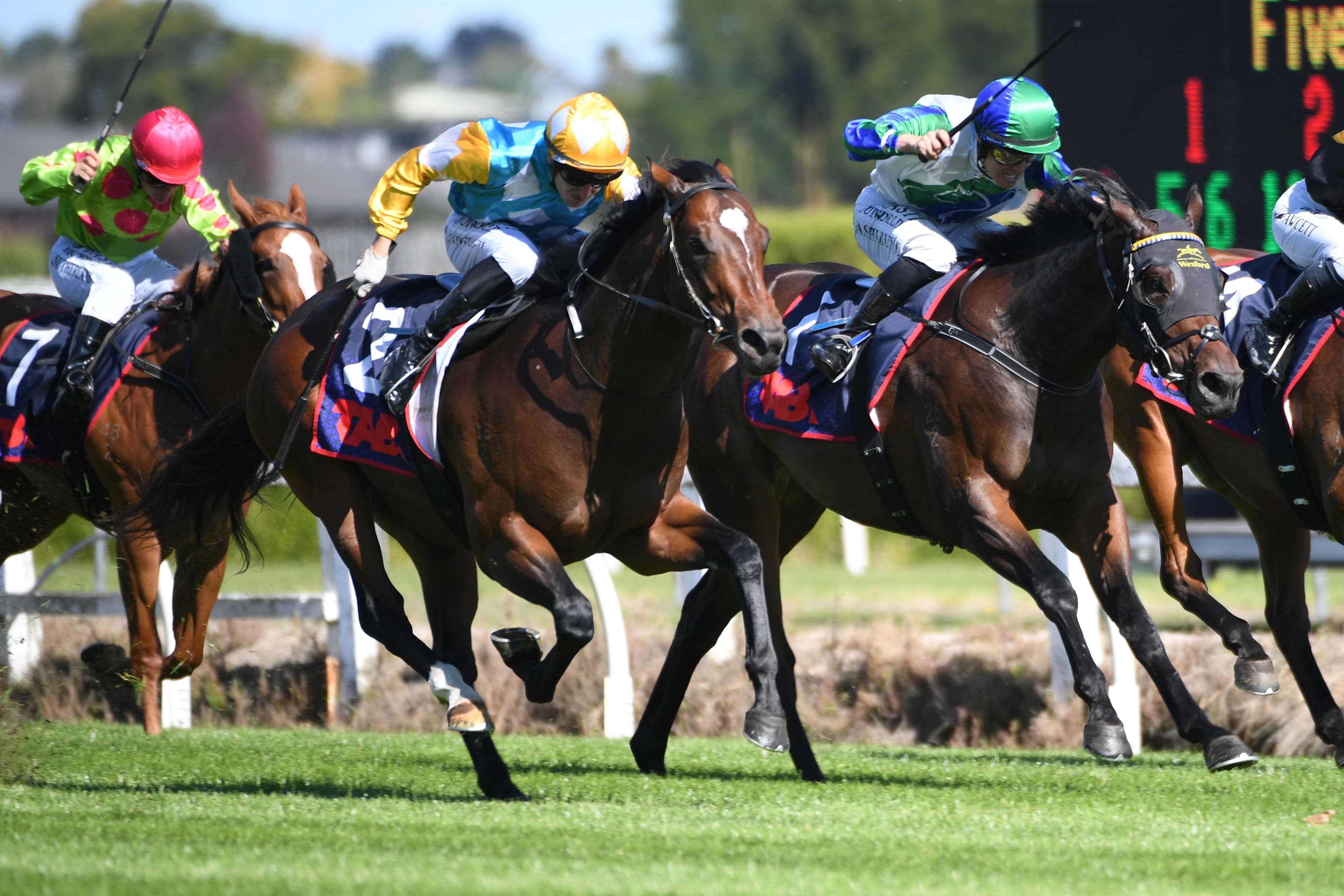 Bulgari to answer important question at Ellerslie