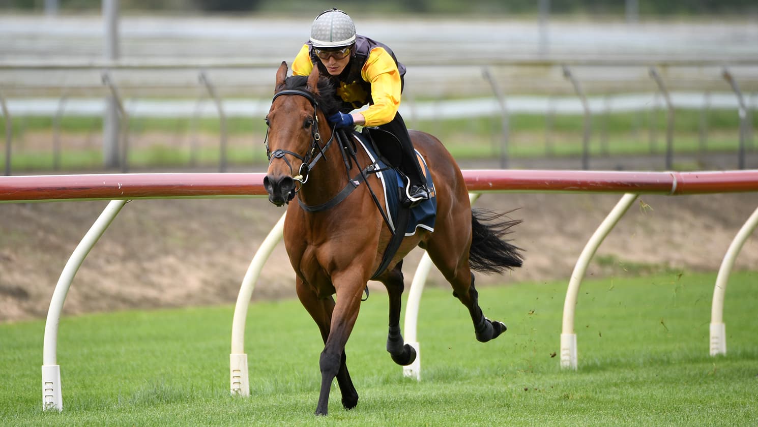 I’munstoppable primed for Legacy Lodge Sprint