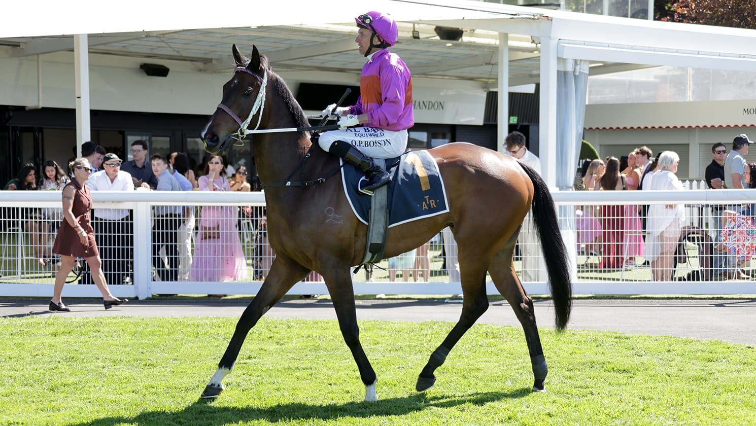 Class prevails in Ellerslie feature