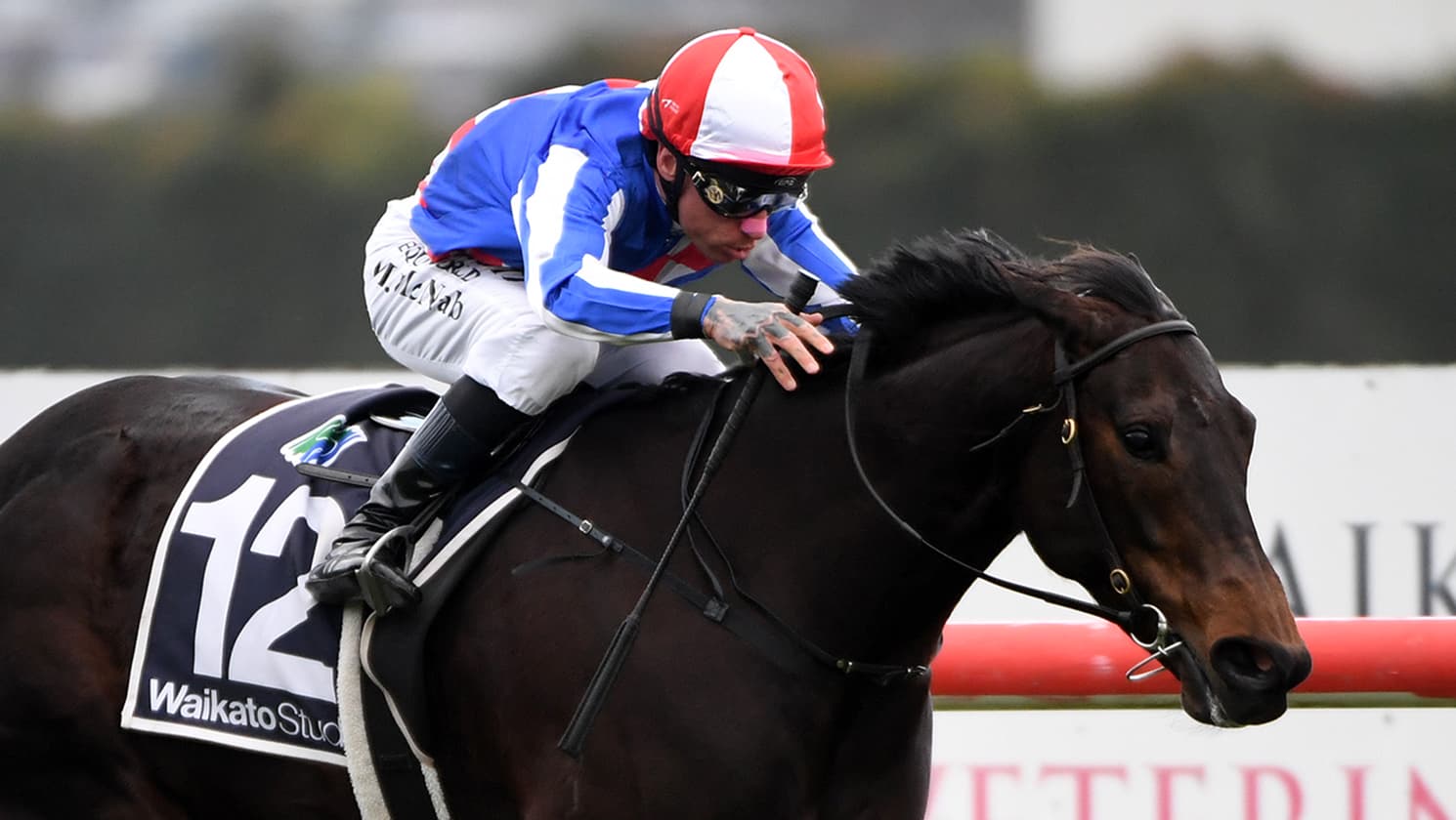 Alabama Lass dominates proceedings in Foxbridge Plate