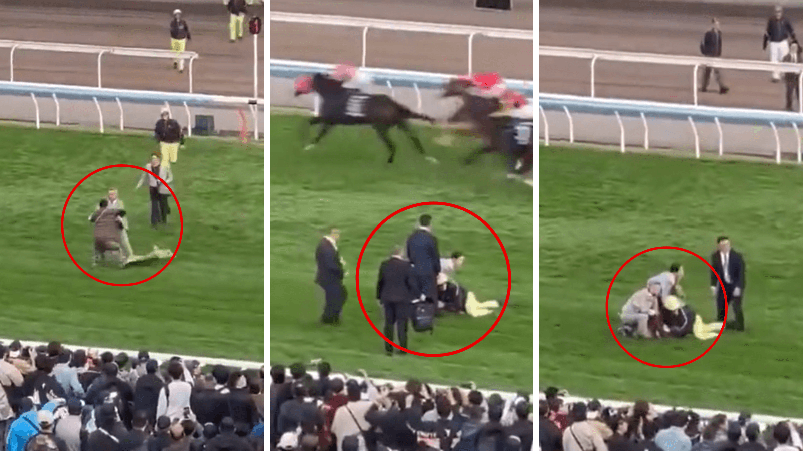 How Critta McMullen stopped the Sha Tin protester