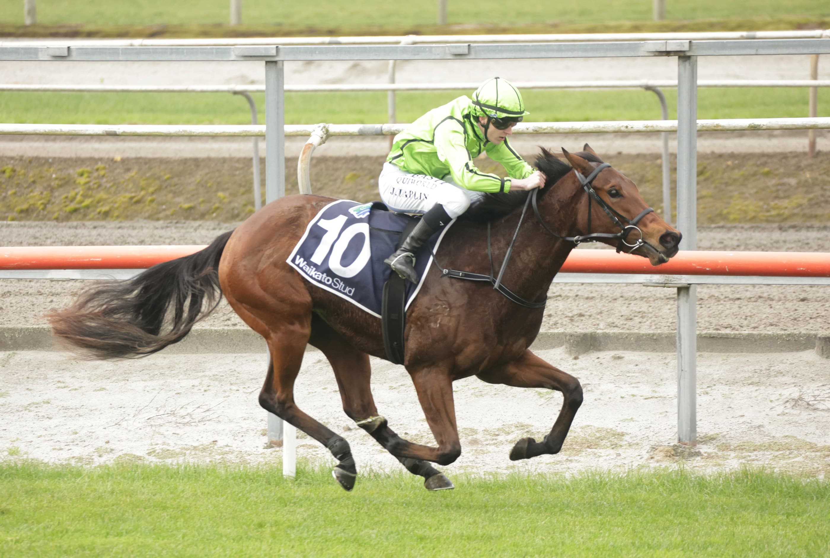 Novara filly makes perfect start to career