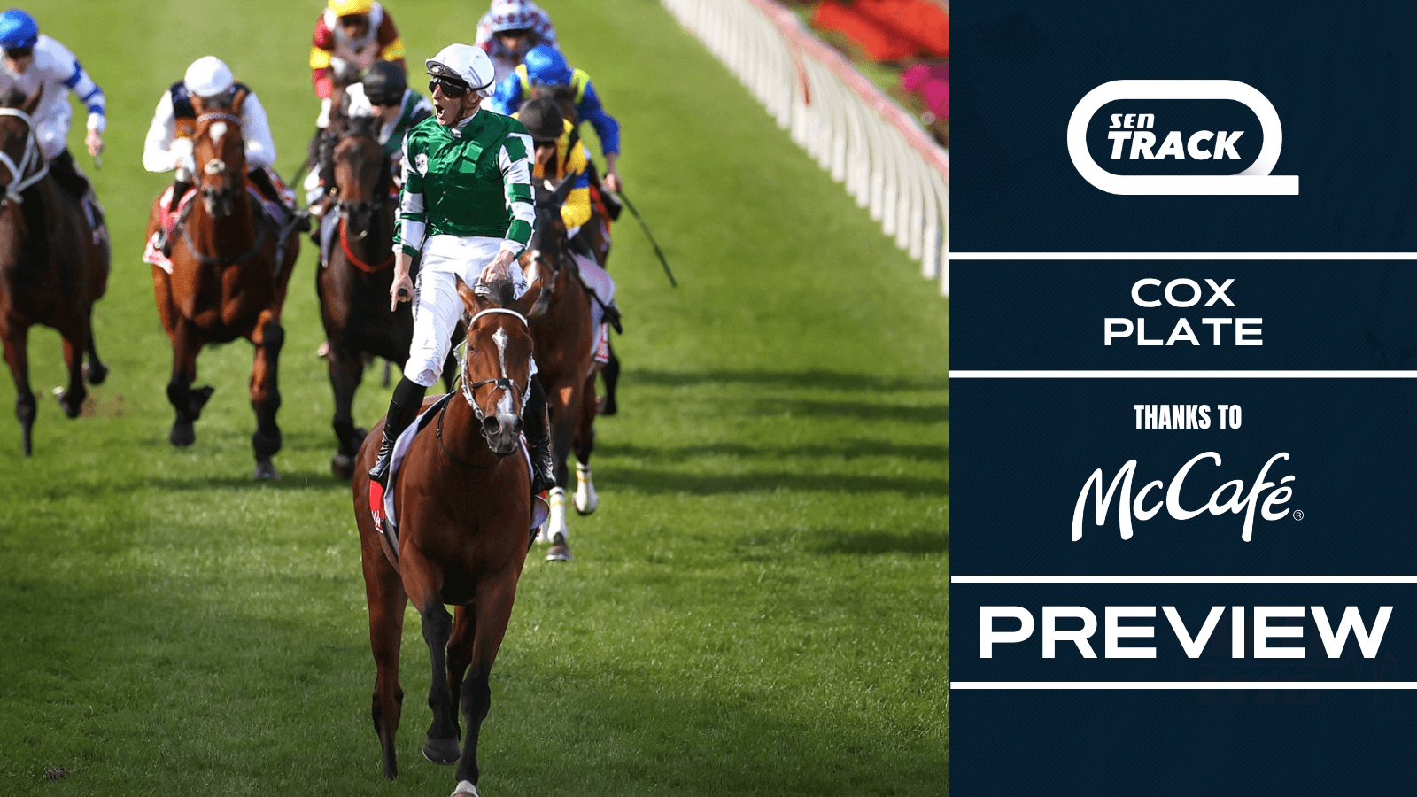 The horse to beat in the 2025 Cox Plate