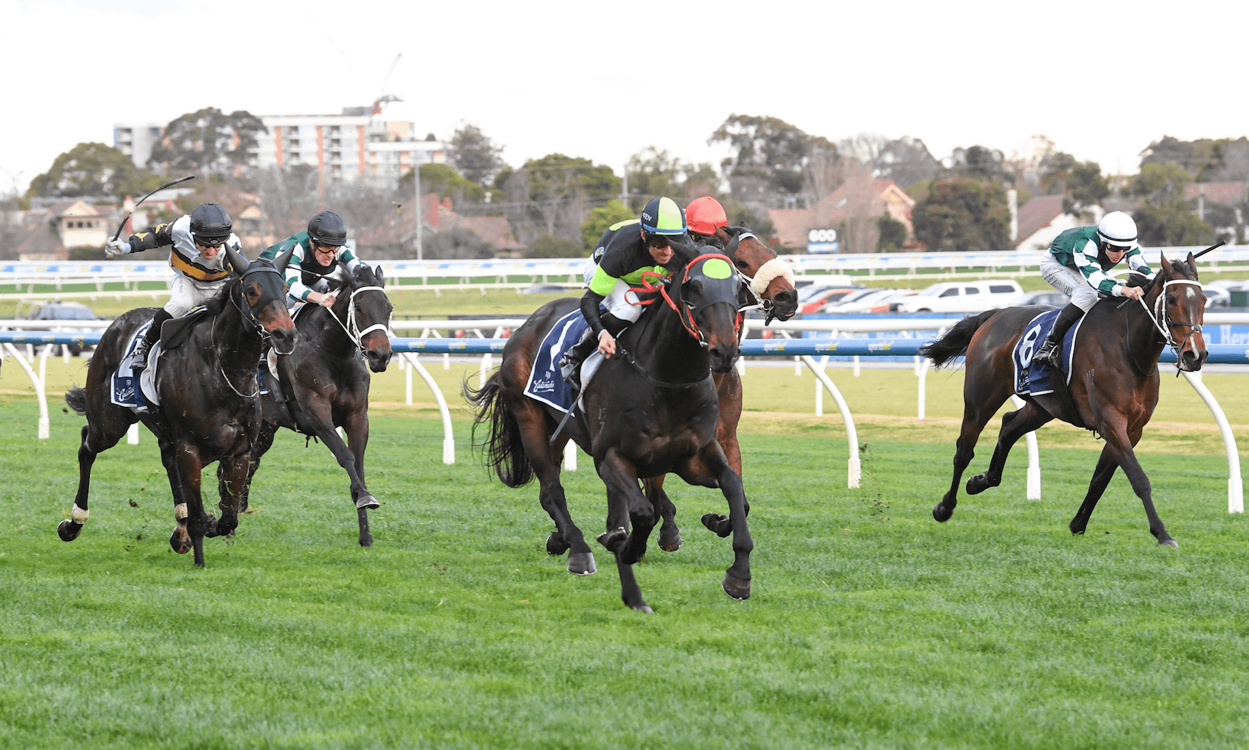 "Never easy": Why Nash Rawiller won't ride Private Eye in Supernova