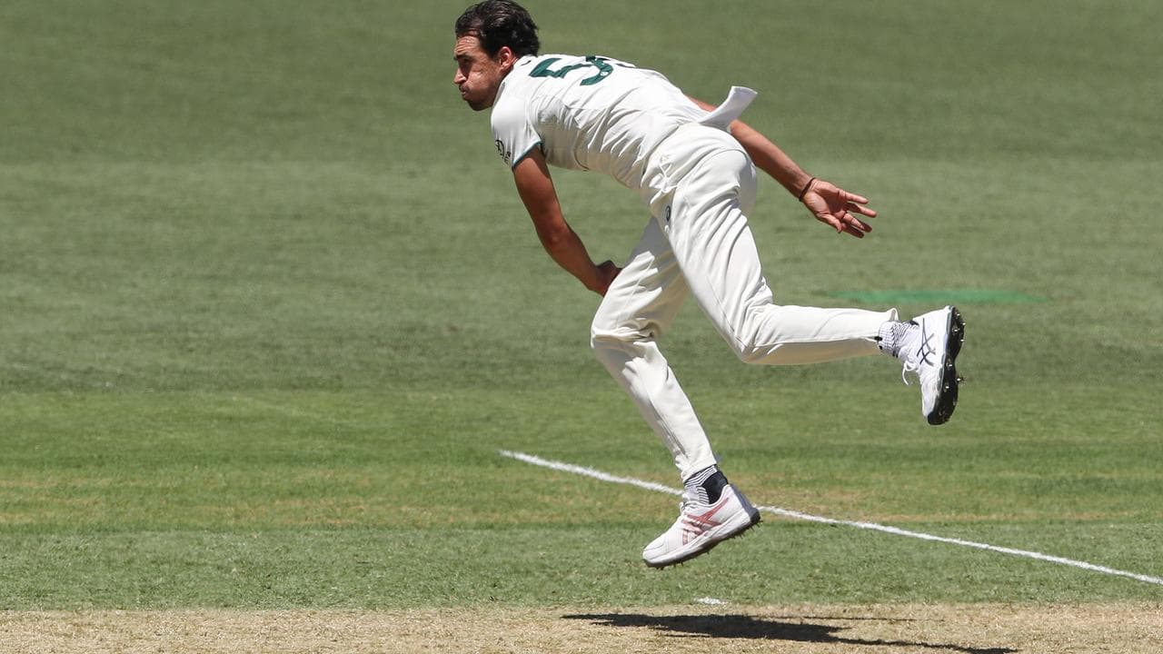Starc tells curators to back themselves and go green for Ashes