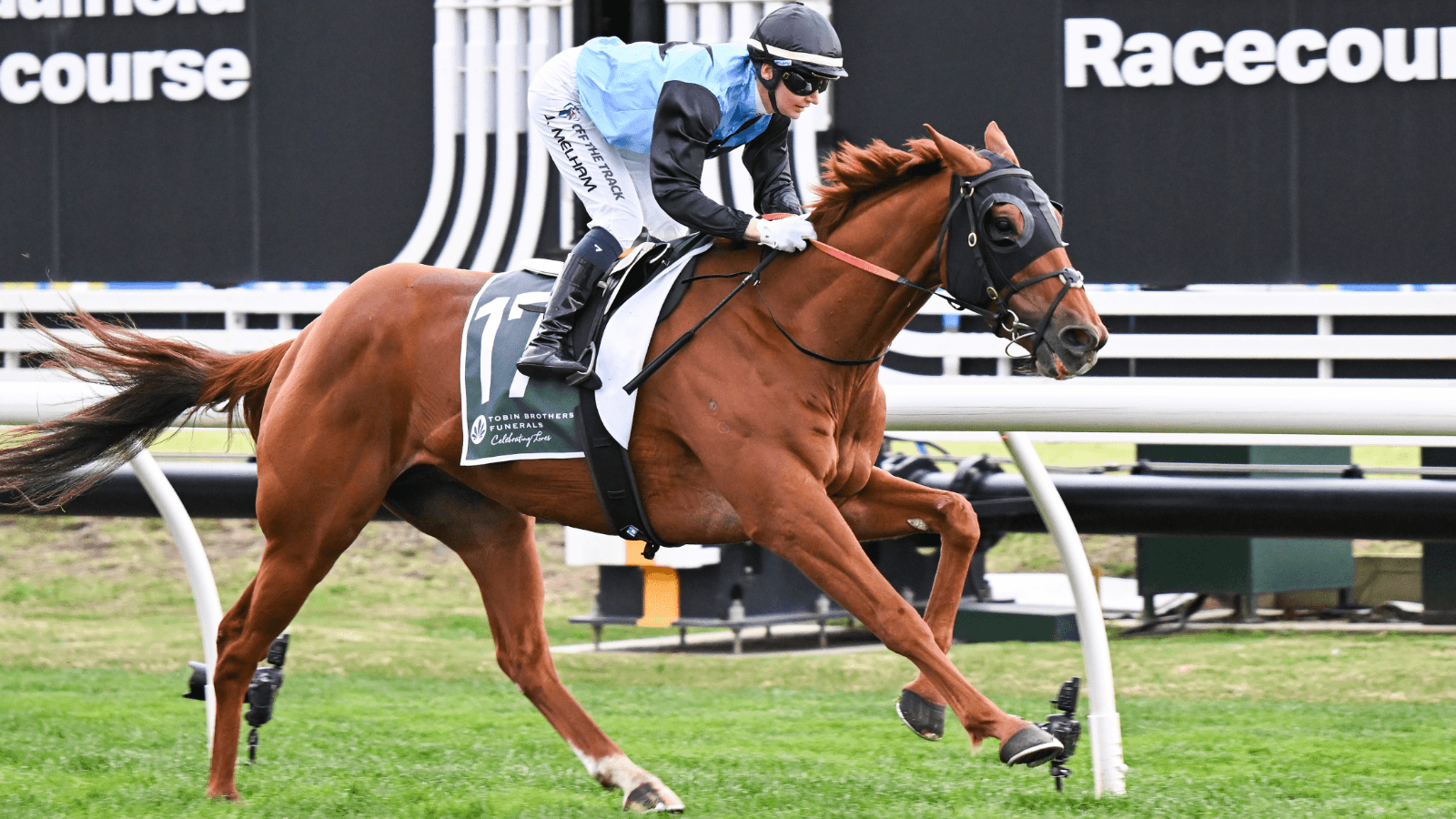 Half Yours the “perfect horse” to win a Caulfield Cup