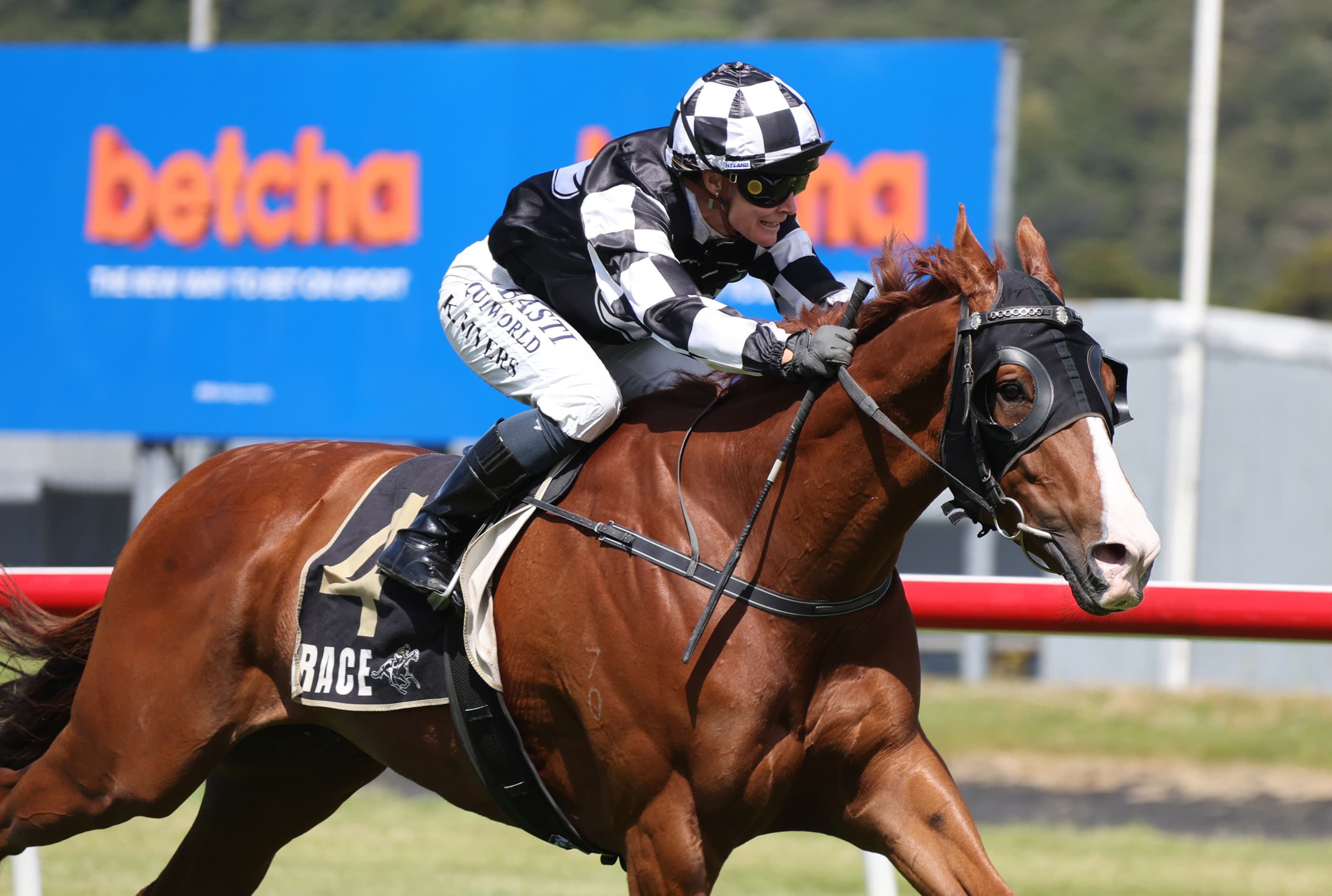 Tisse primed for Taumarunui Gold Cup target