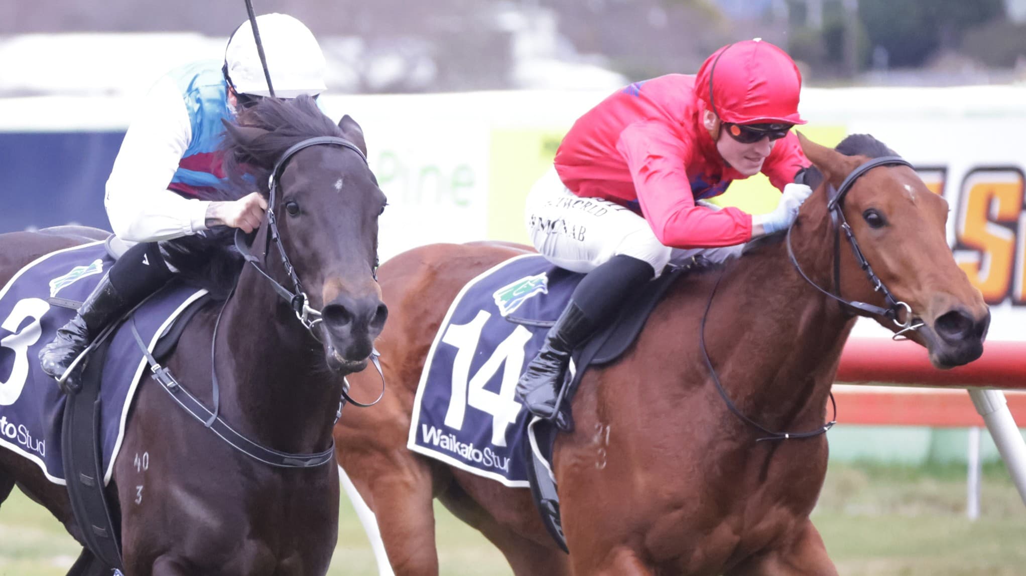 Phillyjean eye-catching in stakes defeat