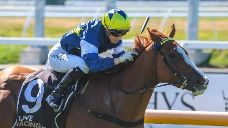 Riviera Rebel on song for Wairio Cup