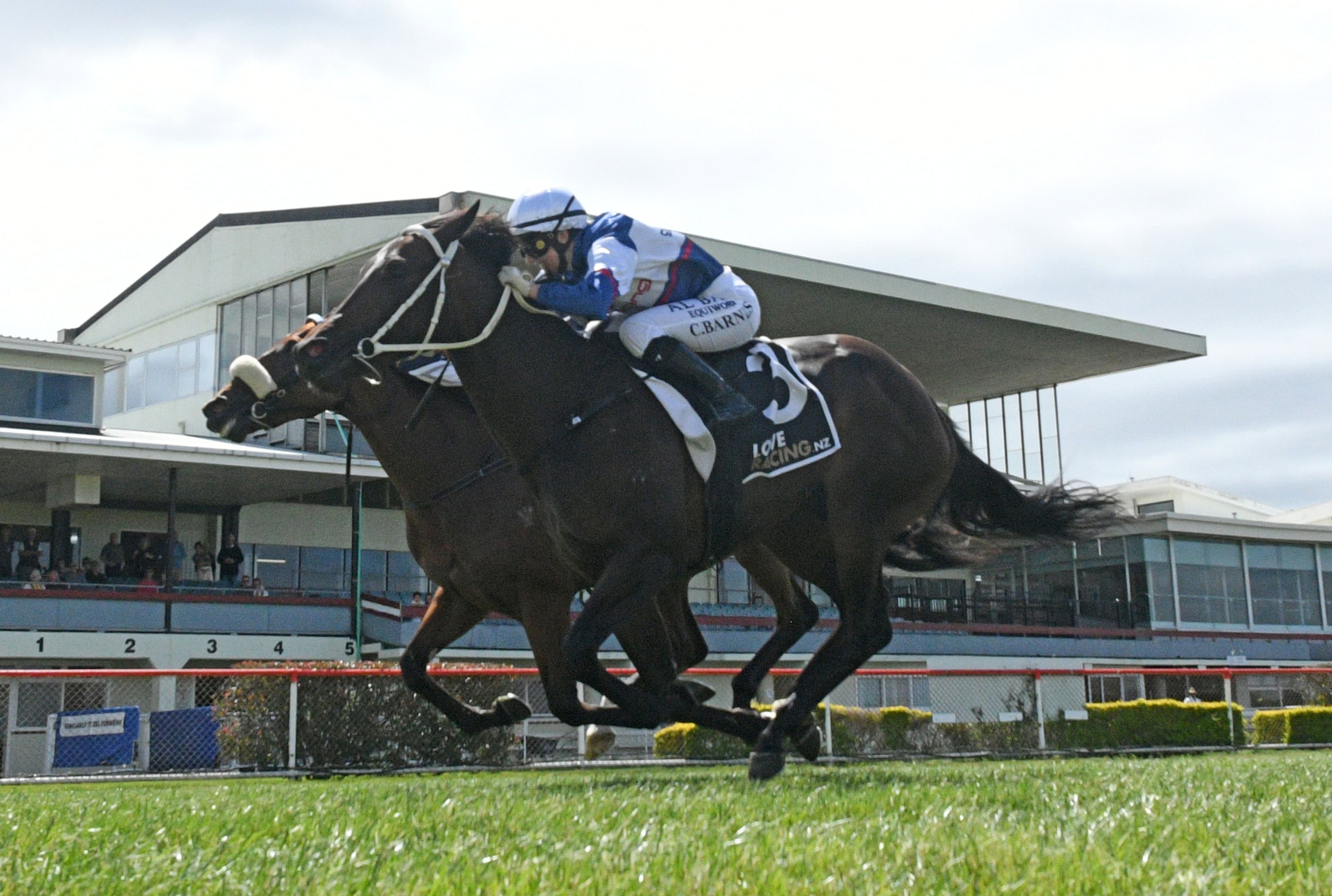 Marsh hunting further Guineas honours