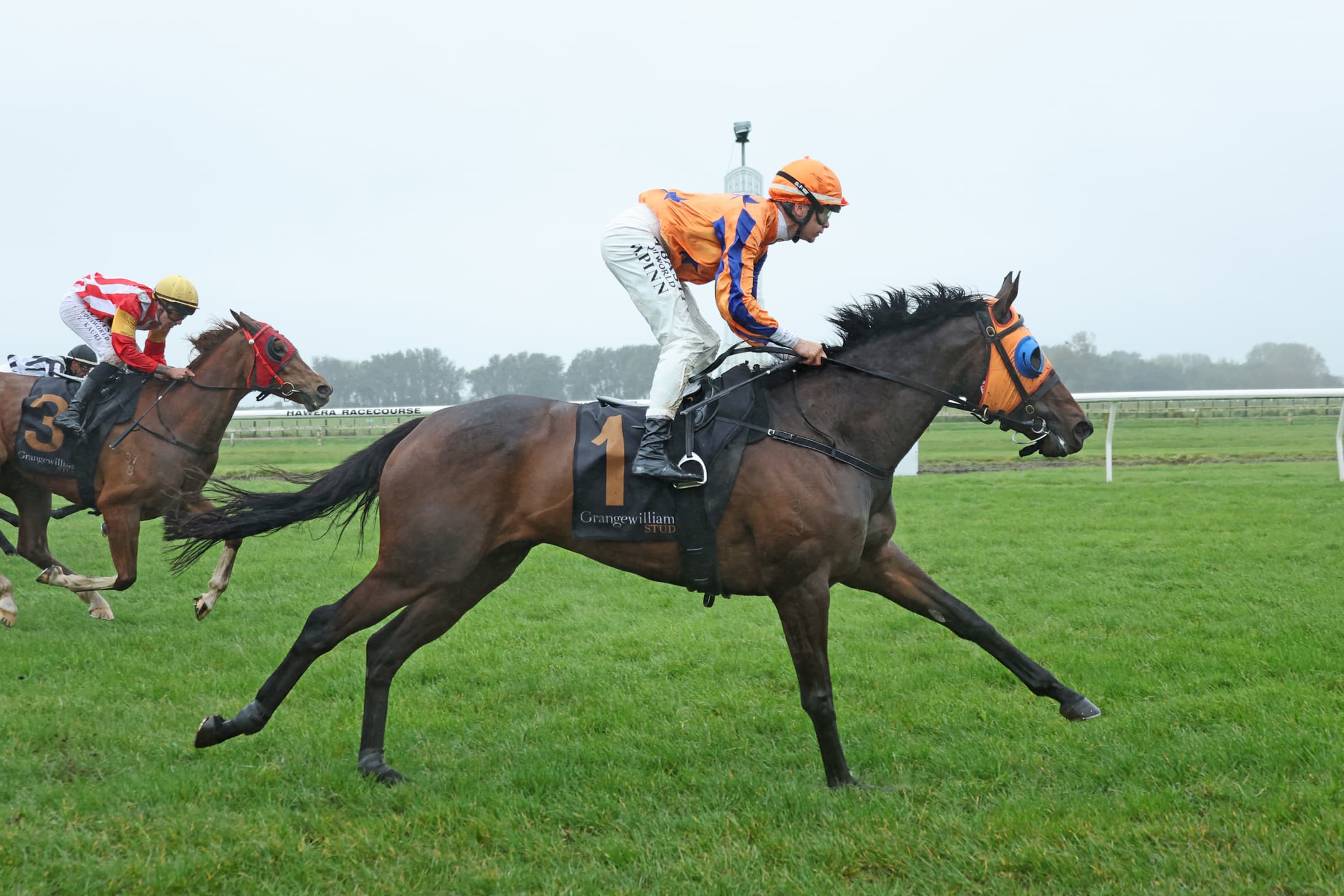 Qali Al Farrasha all class at Hawera