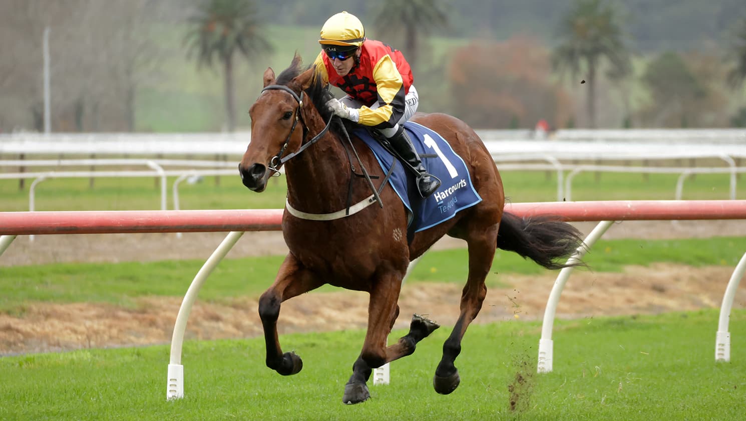 Stakes targets in the offing for Tardis