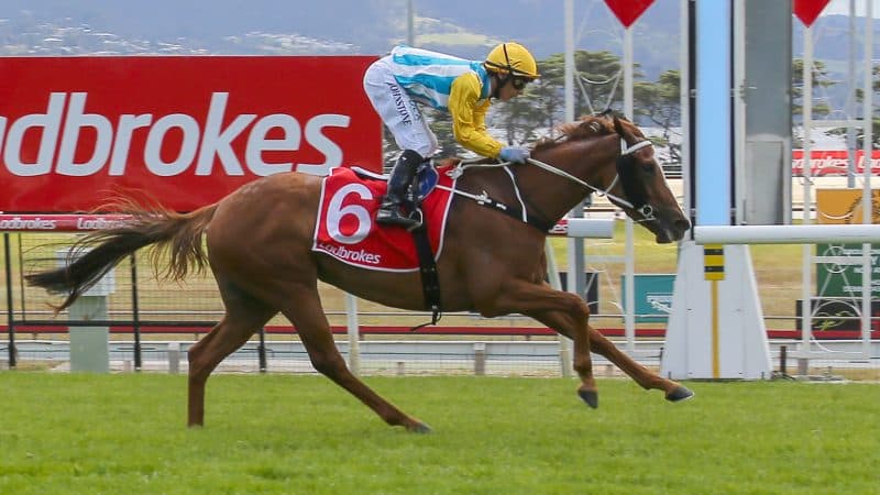 Tasracing's Sunday best bets at Hobart (28/12)