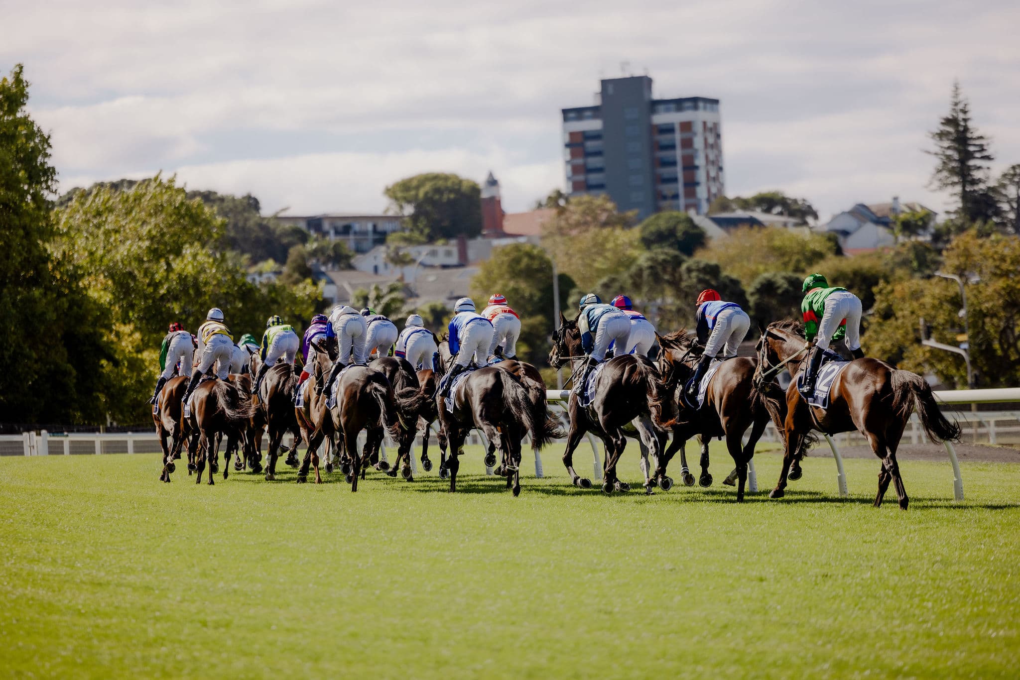 Giddy Up Saturday opens new doors for New Zealand thoroughbred racing in Australia