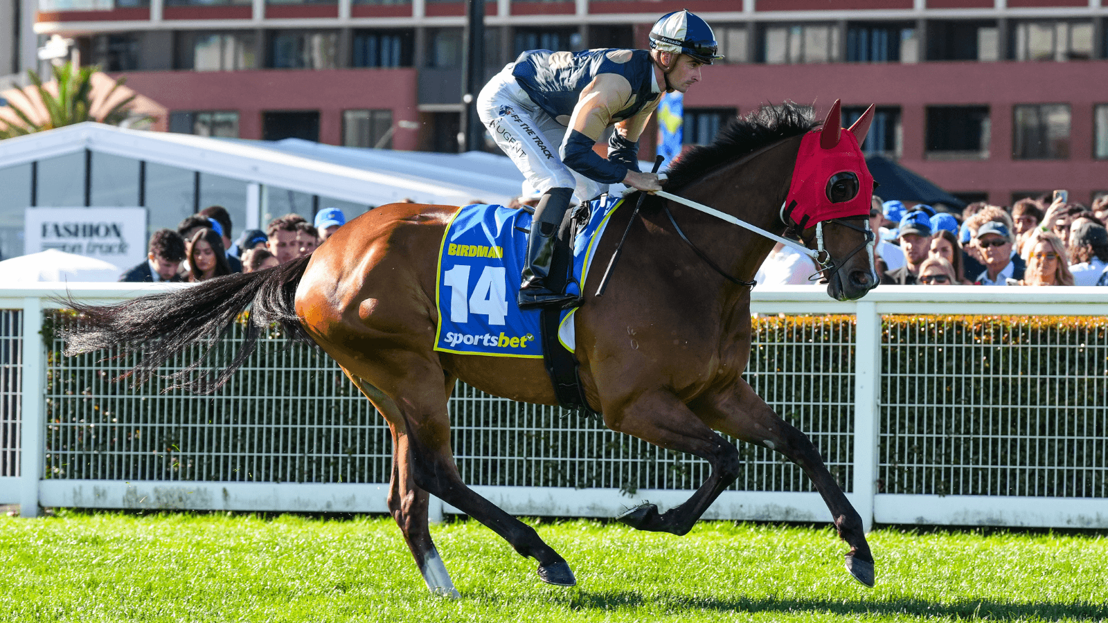 "Airborne": Is Birdman on the path to a Group 1?