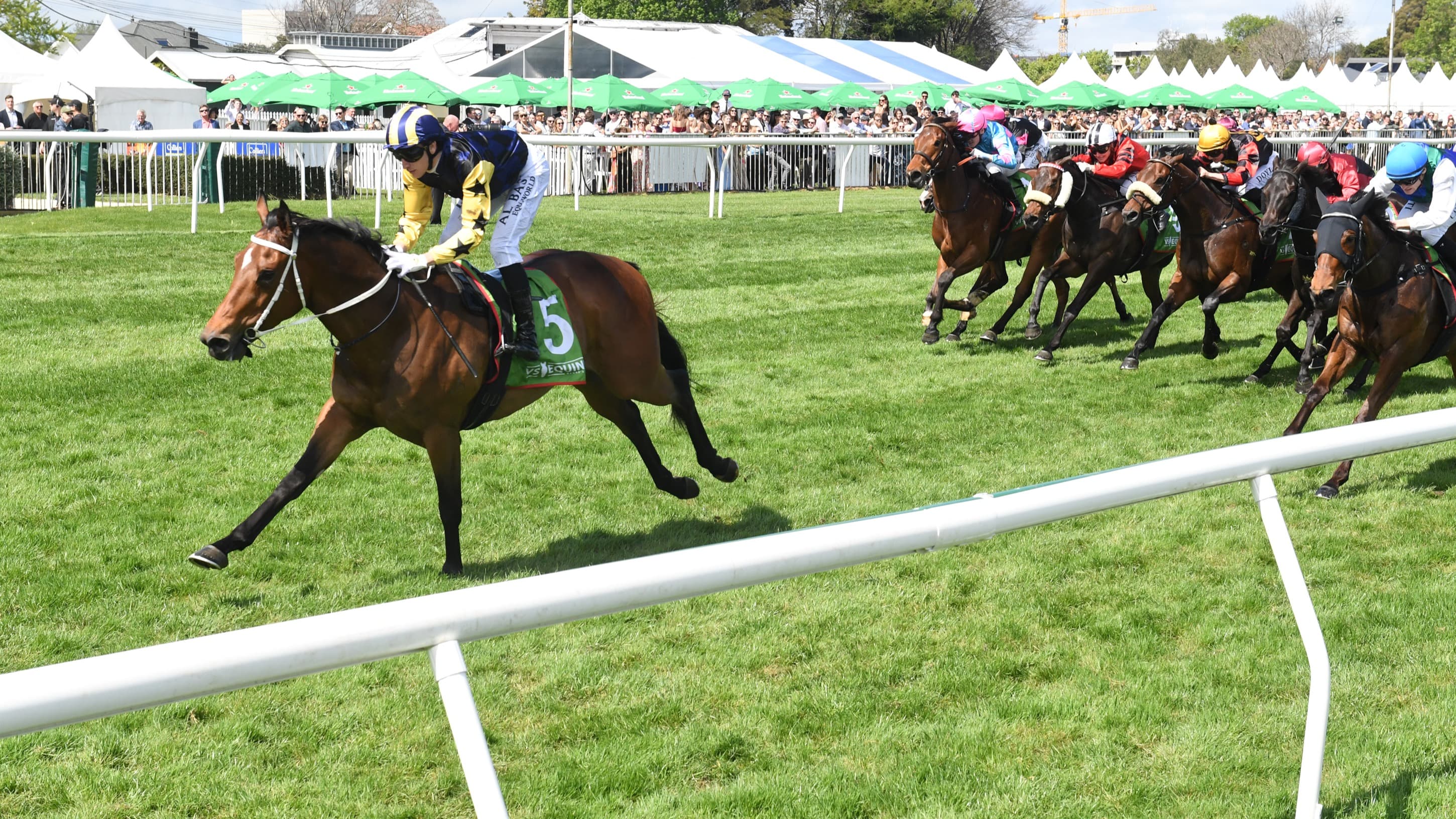 Navy Dreams up to the East Coast Challenge