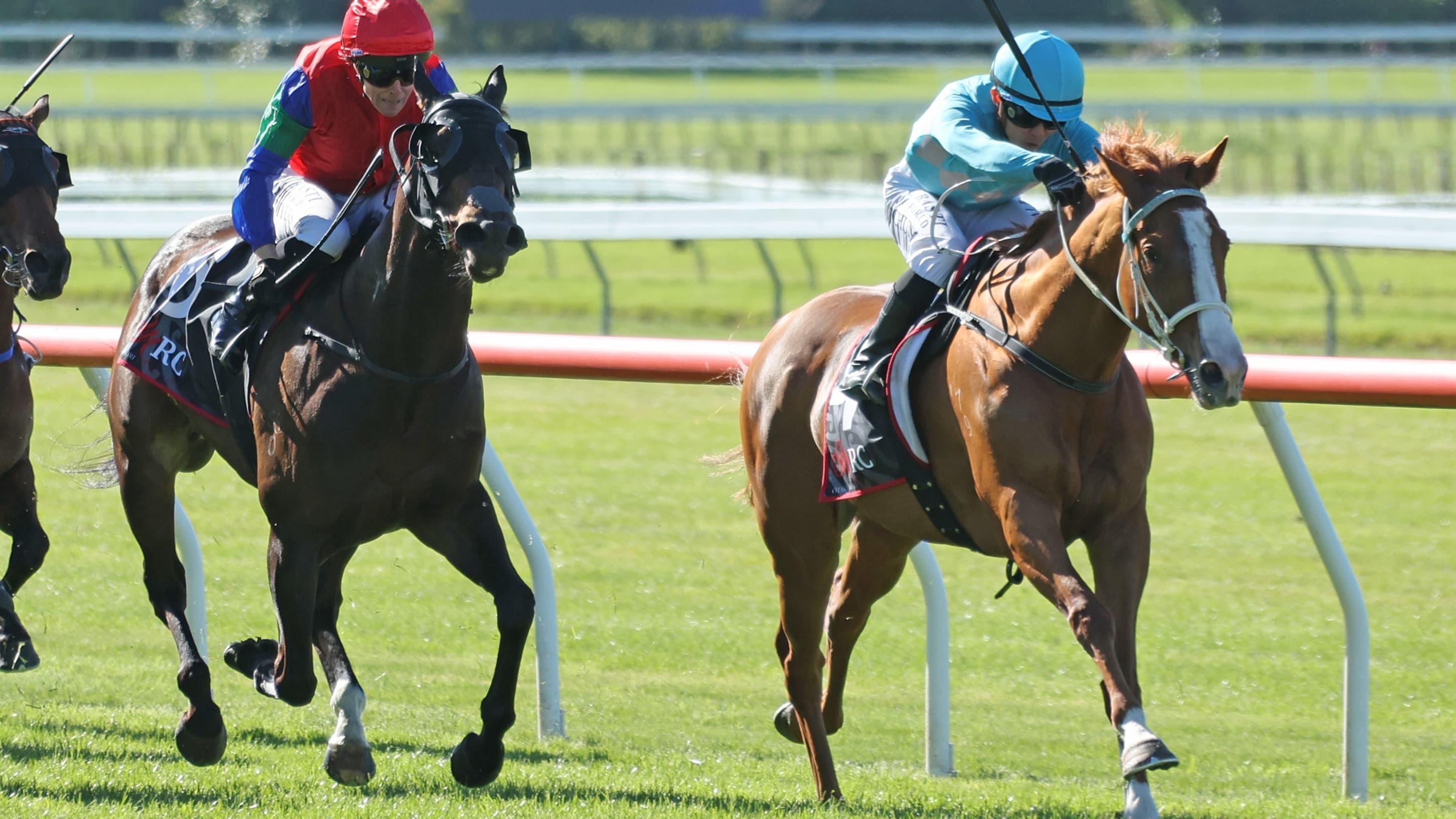 Team Rogerson and Clinton Isdale partnership quinella Feilding Cup