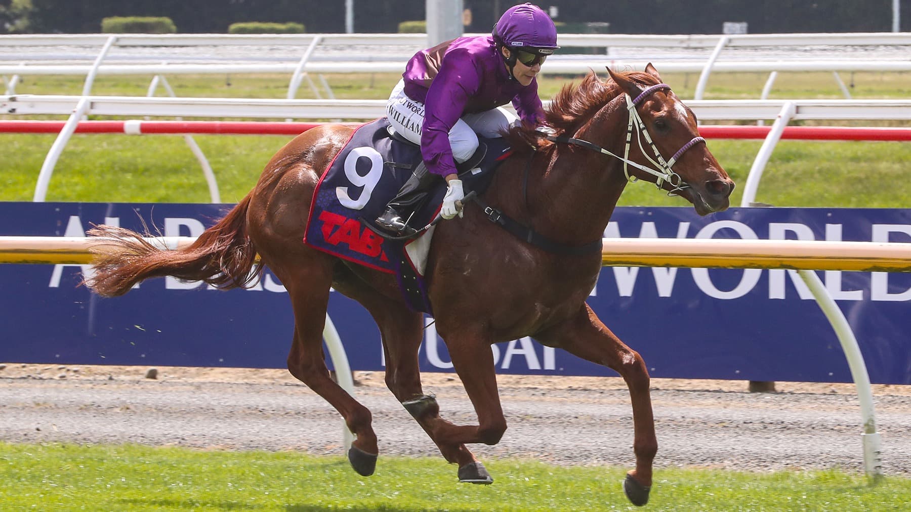 Platinum Pantheon draws well in Golden Eagle