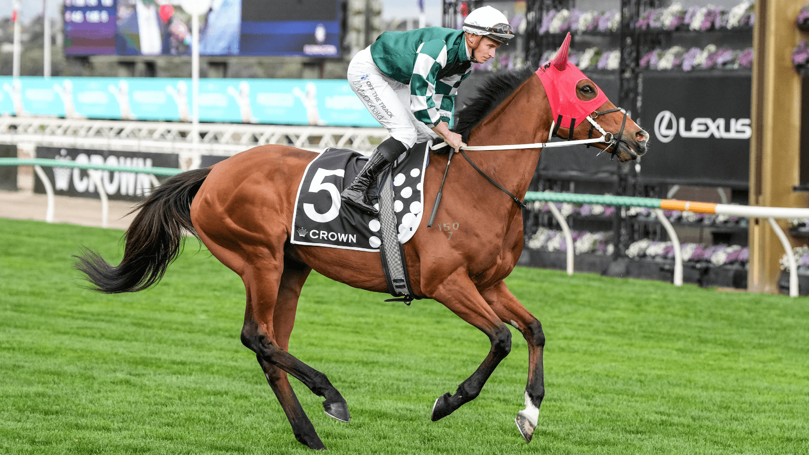 Finishing Order: Where each horse finished in the Champions Stakes