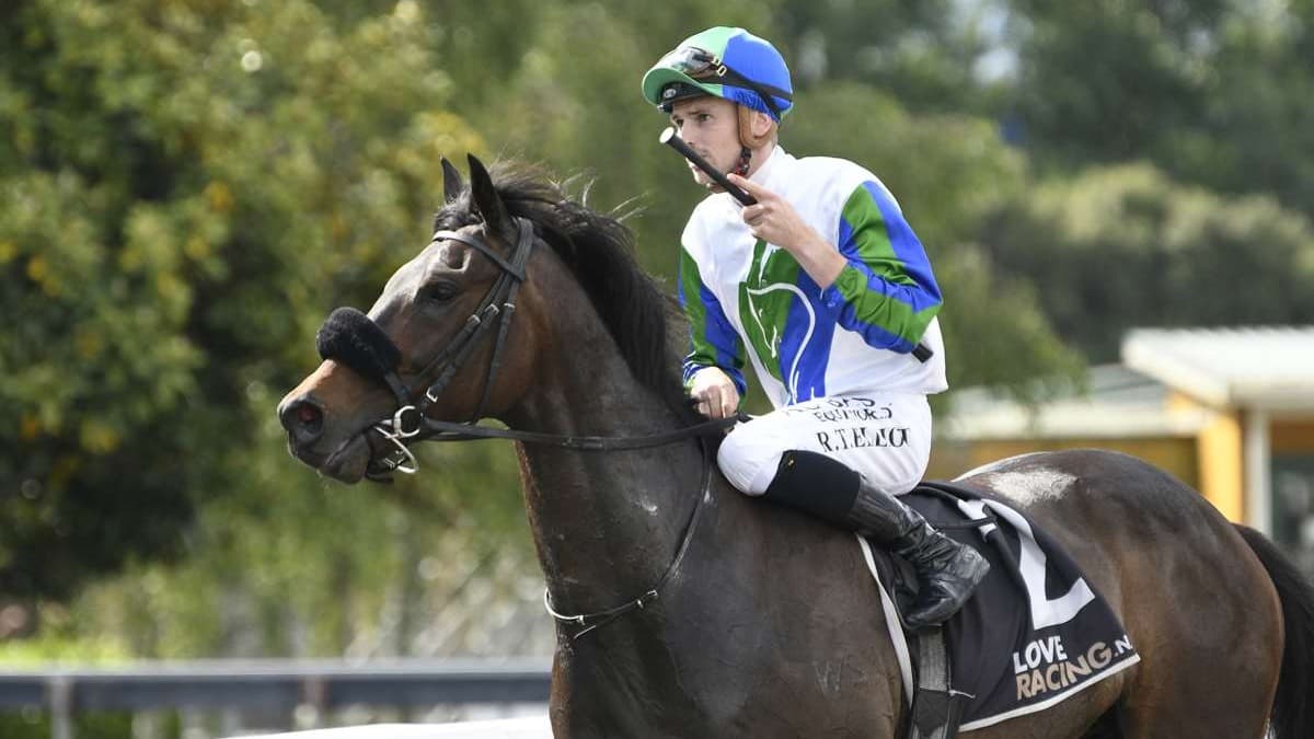 Matamata stud on a roll heading into RTR Sale