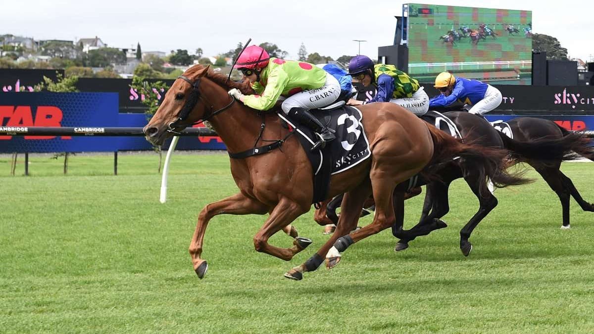 The Odyssey could earn crack at Group One feature